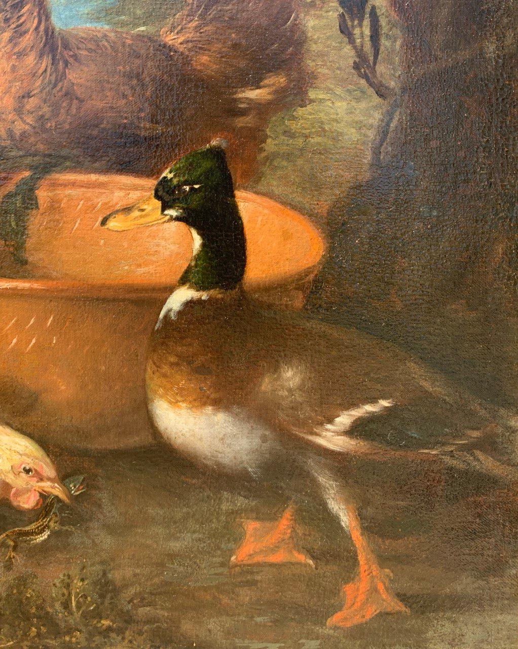 Baroque Flemish master - 17th century animal painting - Live nature turkey ducks For Sale 4