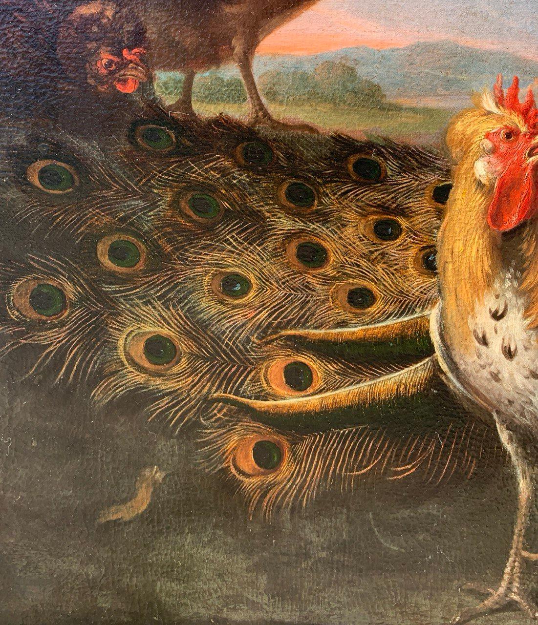 Baroque Flemish master - 17th century animal painting - Live nature turkey ducks For Sale 5