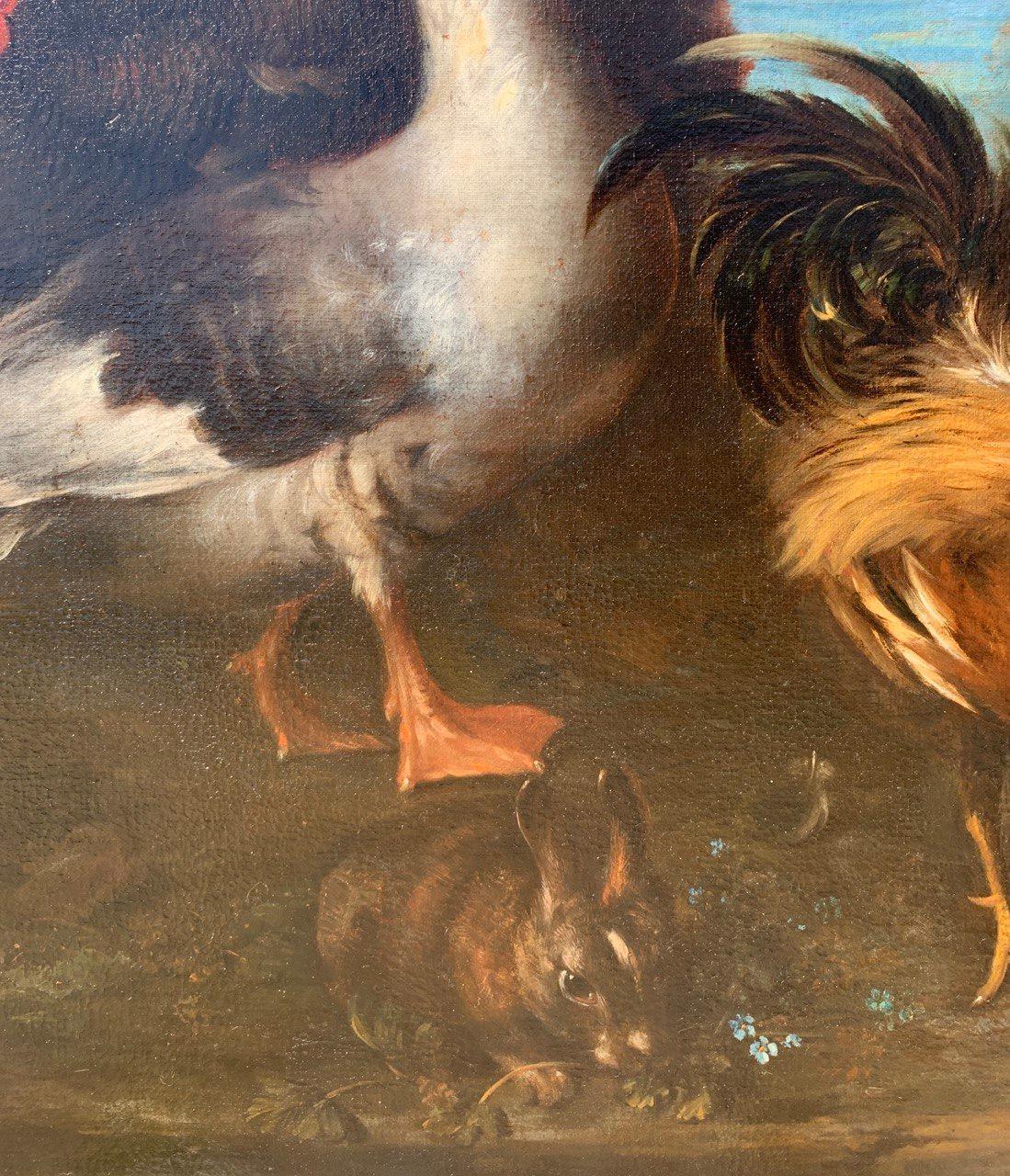 Baroque Flemish master - 17th century animal painting - Live nature turkey ducks For Sale 5
