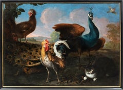 Baroque Flemish master - 17th century animal painting - Live nature turkey ducks