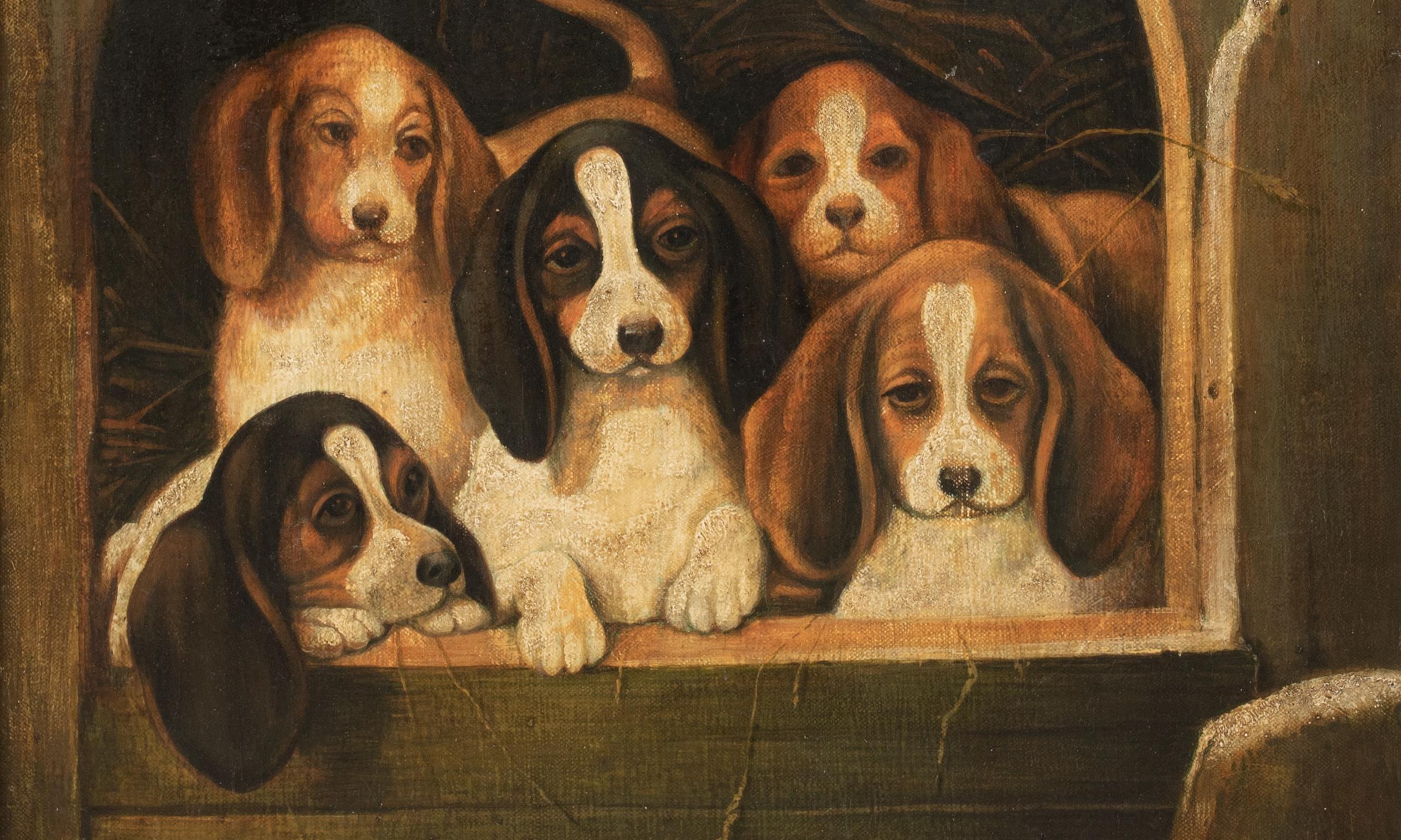 Beagle Puppies In A Kennel, 19th Century

English School

Large 19th Century portrait of Beagle puppies in a kennel, oil on canvas. Good quality and condition circa 1880 kennel scene of a pack of Beagle puppies. Presented in an antique gilt