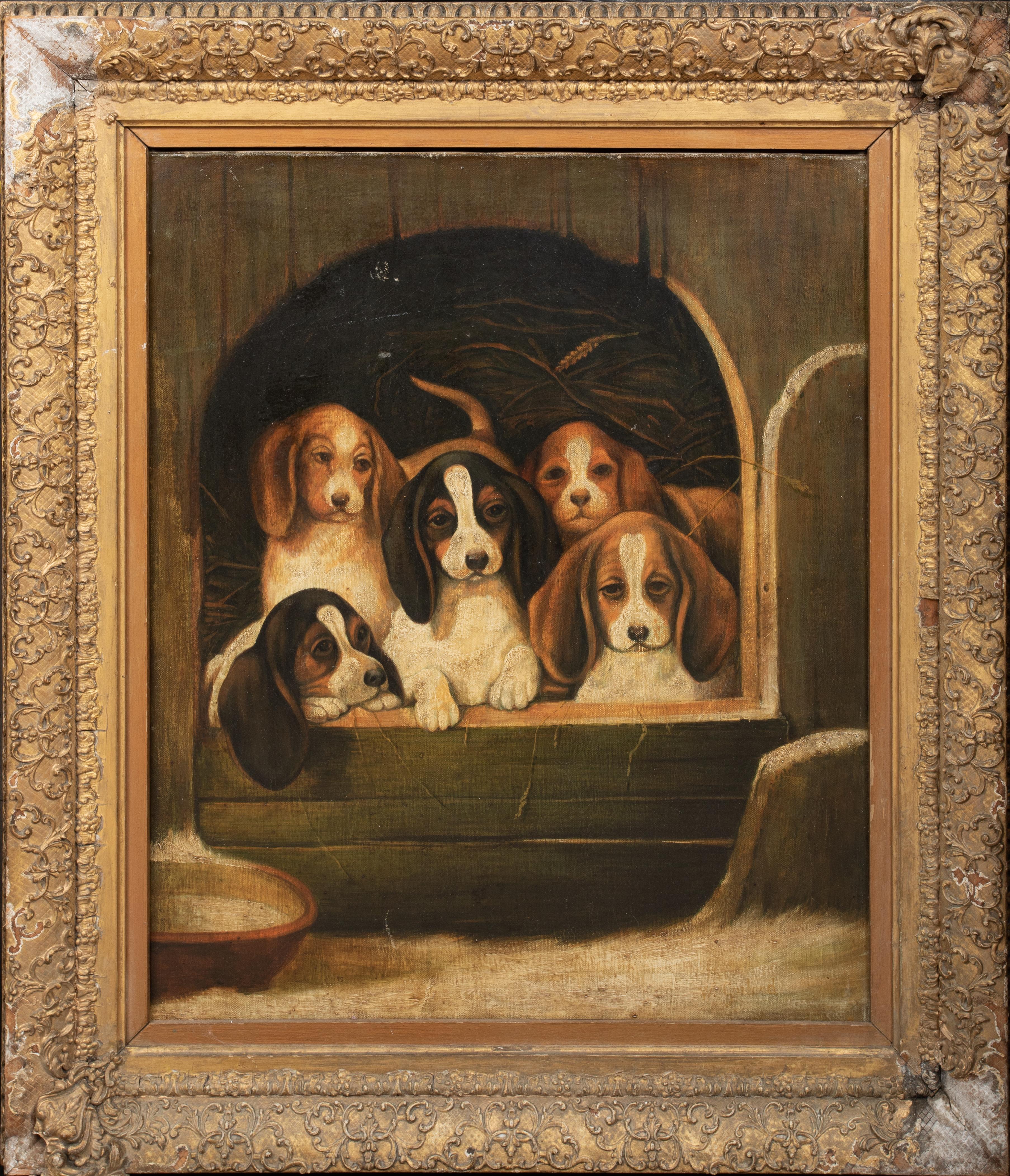 Unknown Portrait Painting - Beagle Puppies In A Kennel, 19th Century  English School
