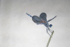 Blauer Libellenschmetterling von David W M Roberts