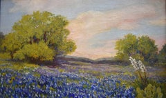 "Bluebonnet Wildflowers"  Texas Hill Country
