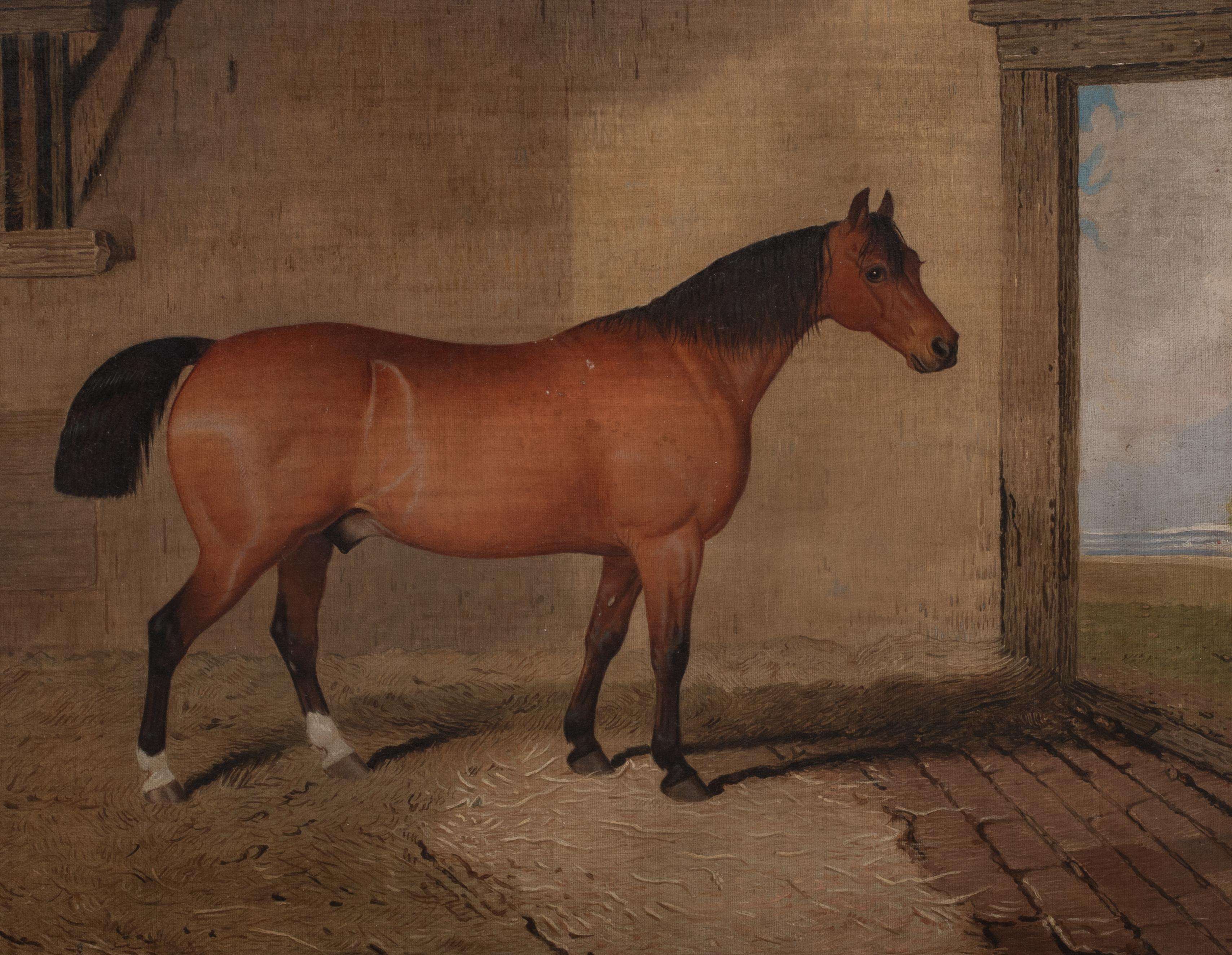 Brown Hunter In A Stable, 19th Century   English School   For Sale 2