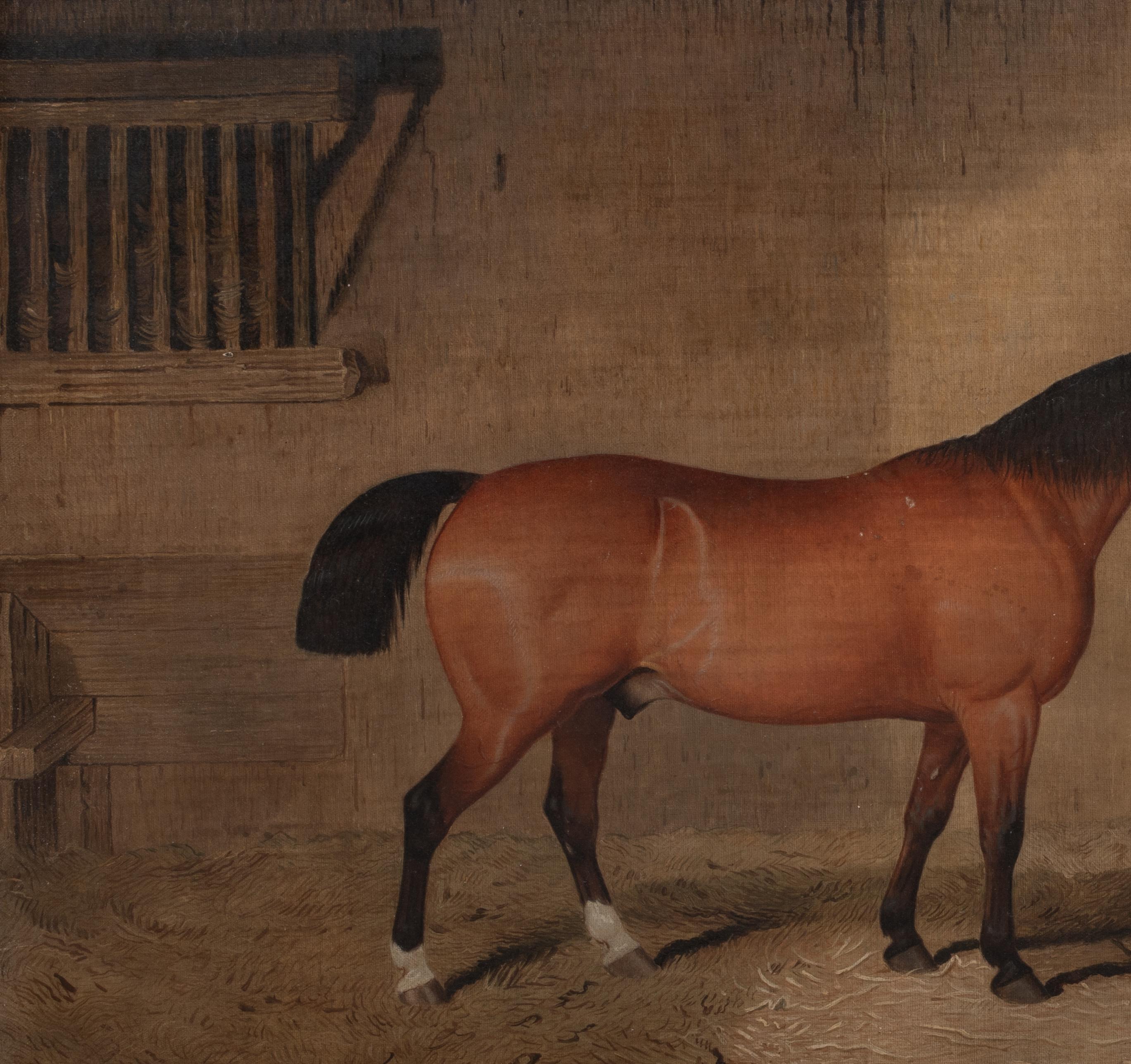 Brown Hunter In A Stable, 19th Century   English School   For Sale 3