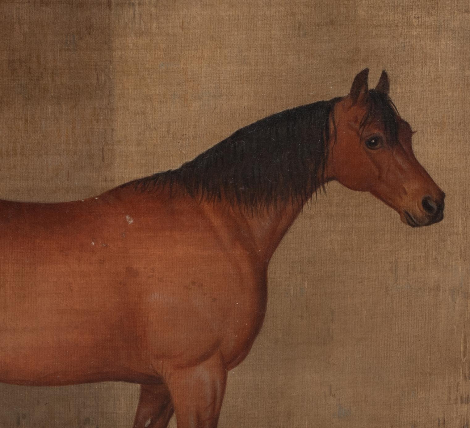 Brown Hunter In A Stable, 19th Century   English School   For Sale 4