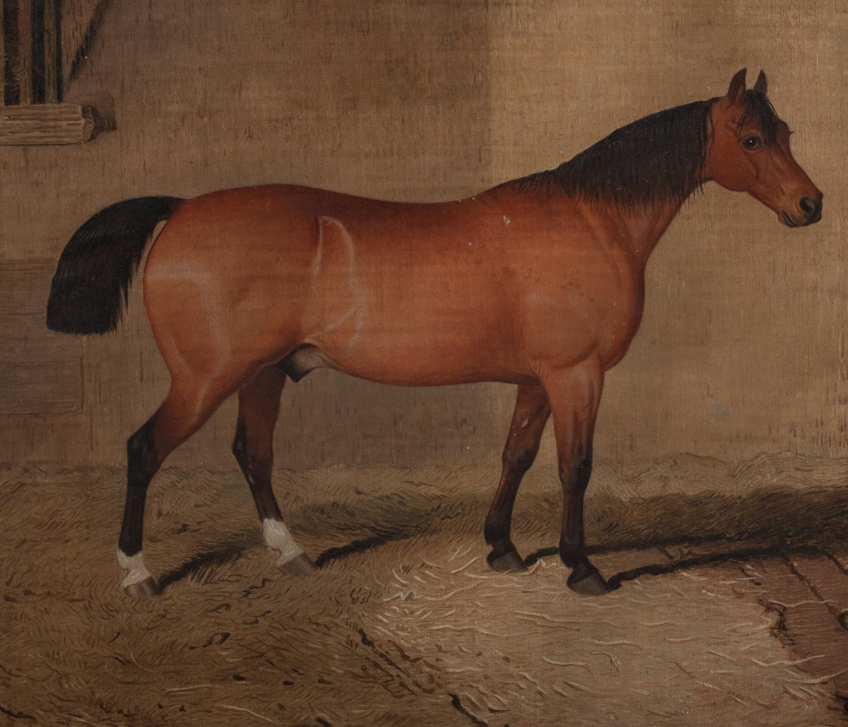 Brown Hunter In A Stable, 19th Century   English School   For Sale 5