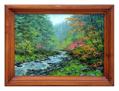 Bubbling Stream in the Forest