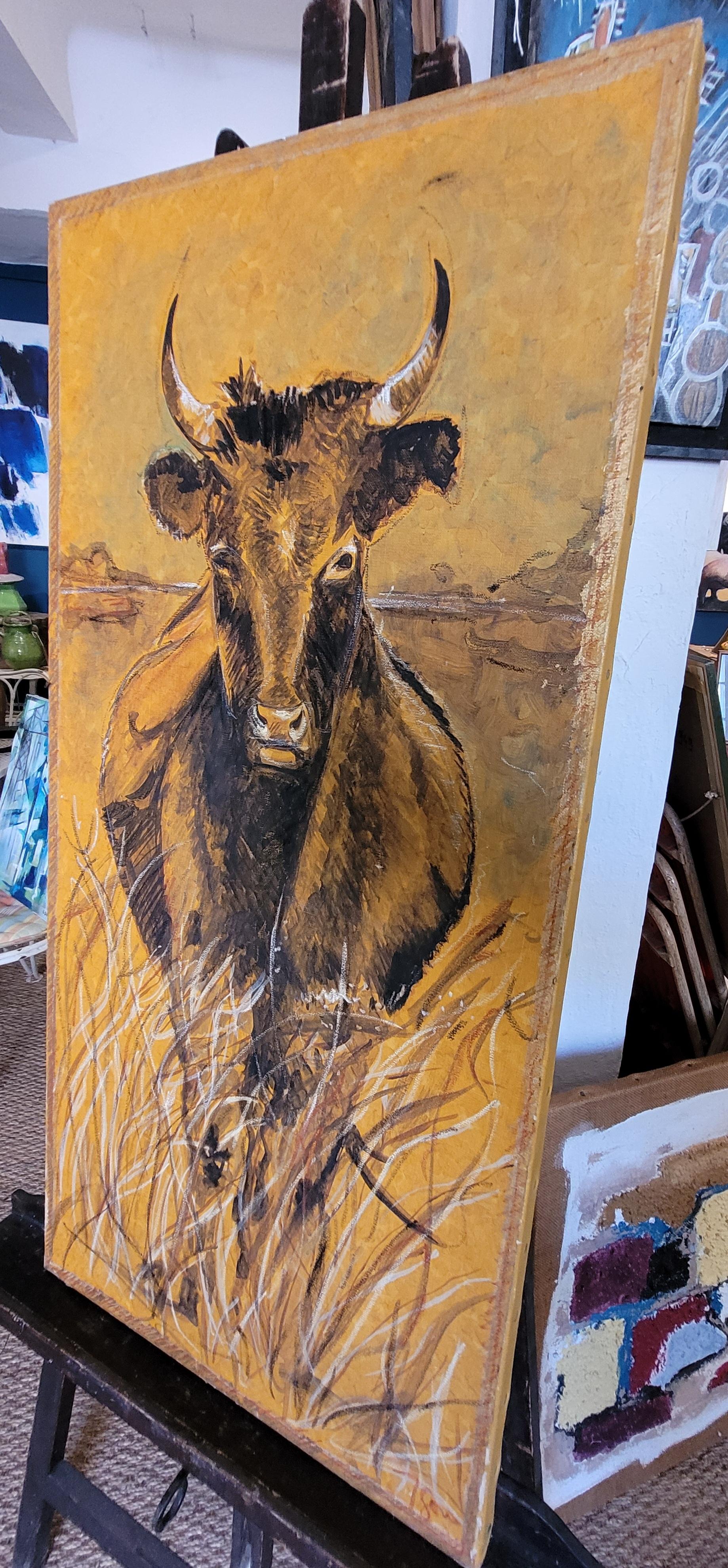 Bull grazing. For Sale 9