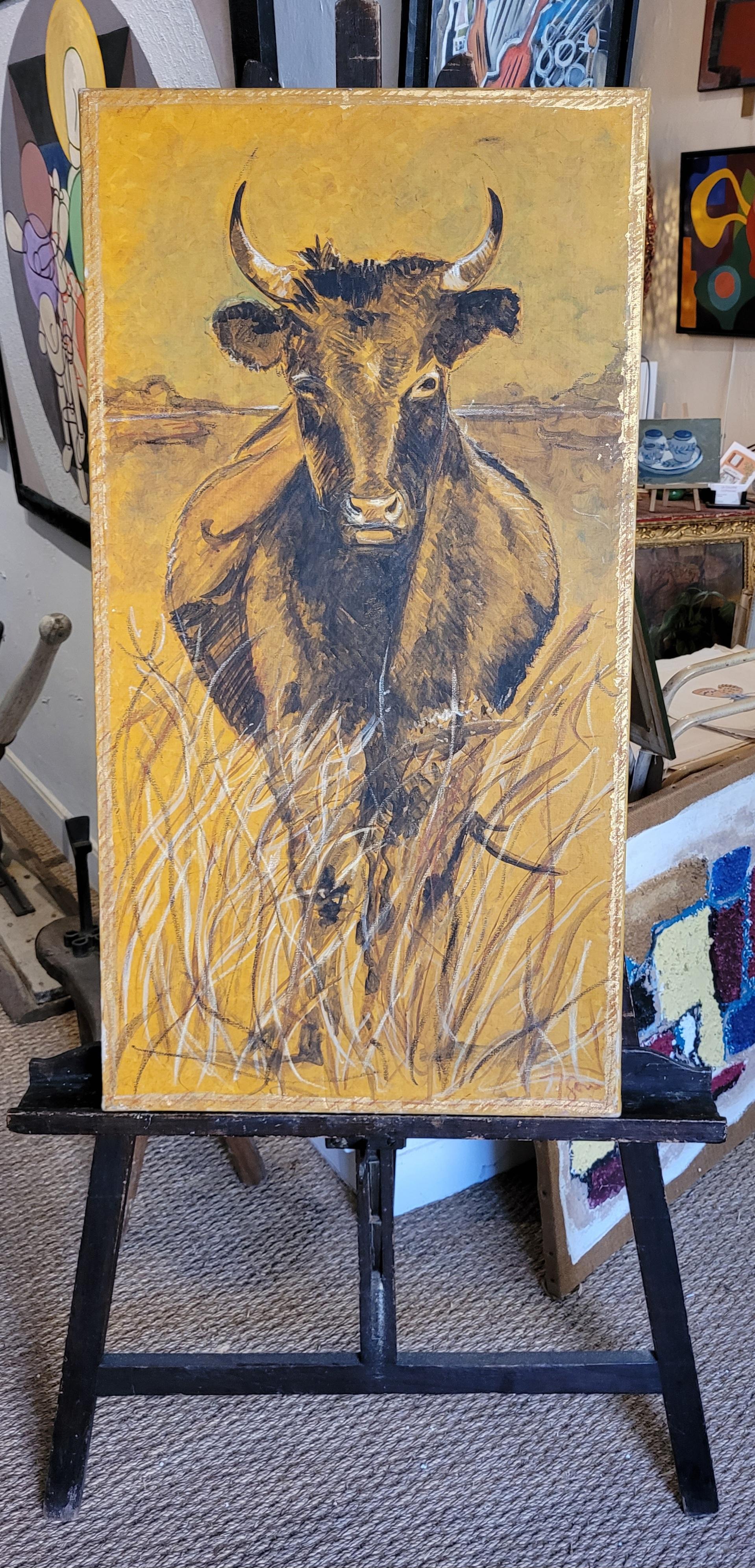 Bull grazing. For Sale 10