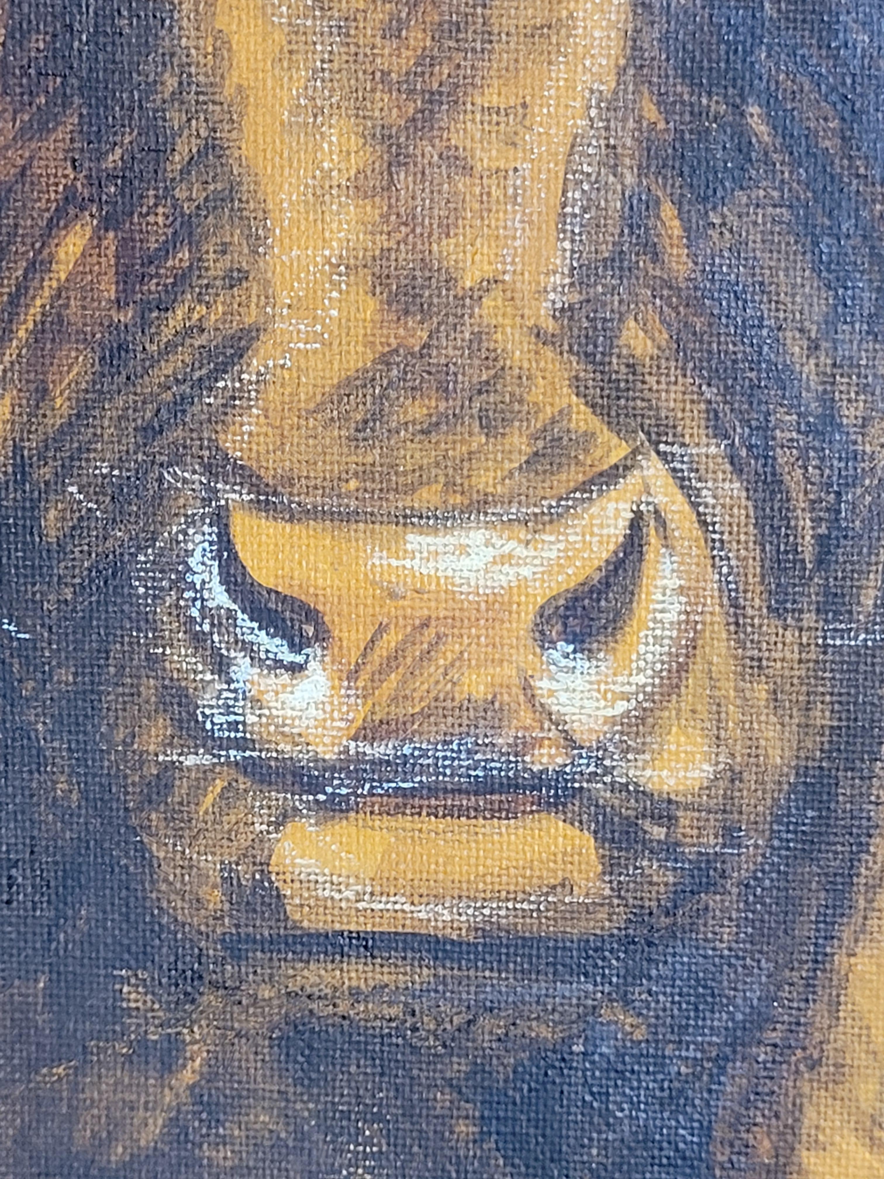 Bull grazing. For Sale 1