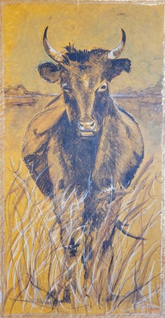 Bull grazing.