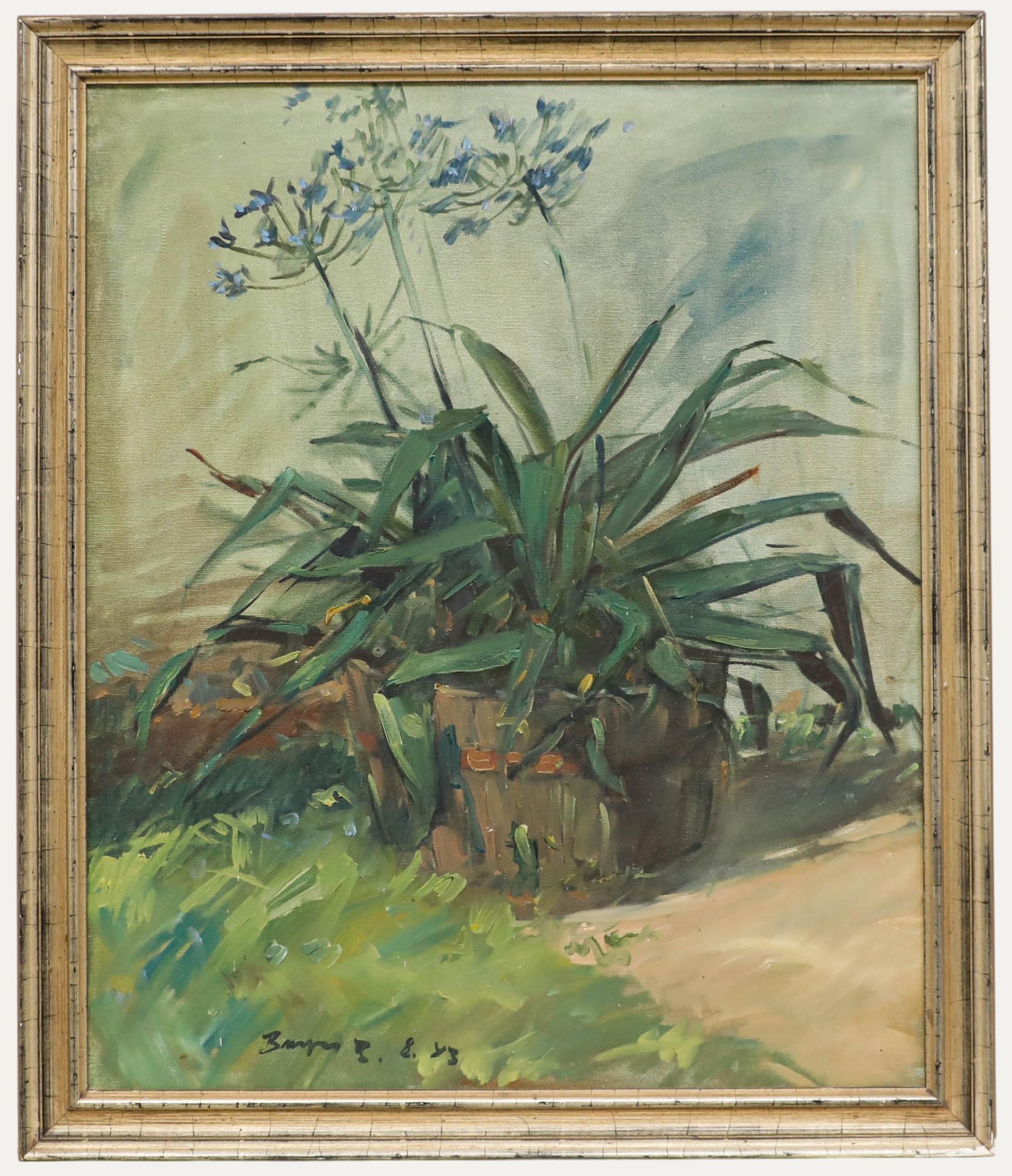 Unknown Still-Life Painting - Burger - Framed 20th Century Oil, Giant Agapanthus