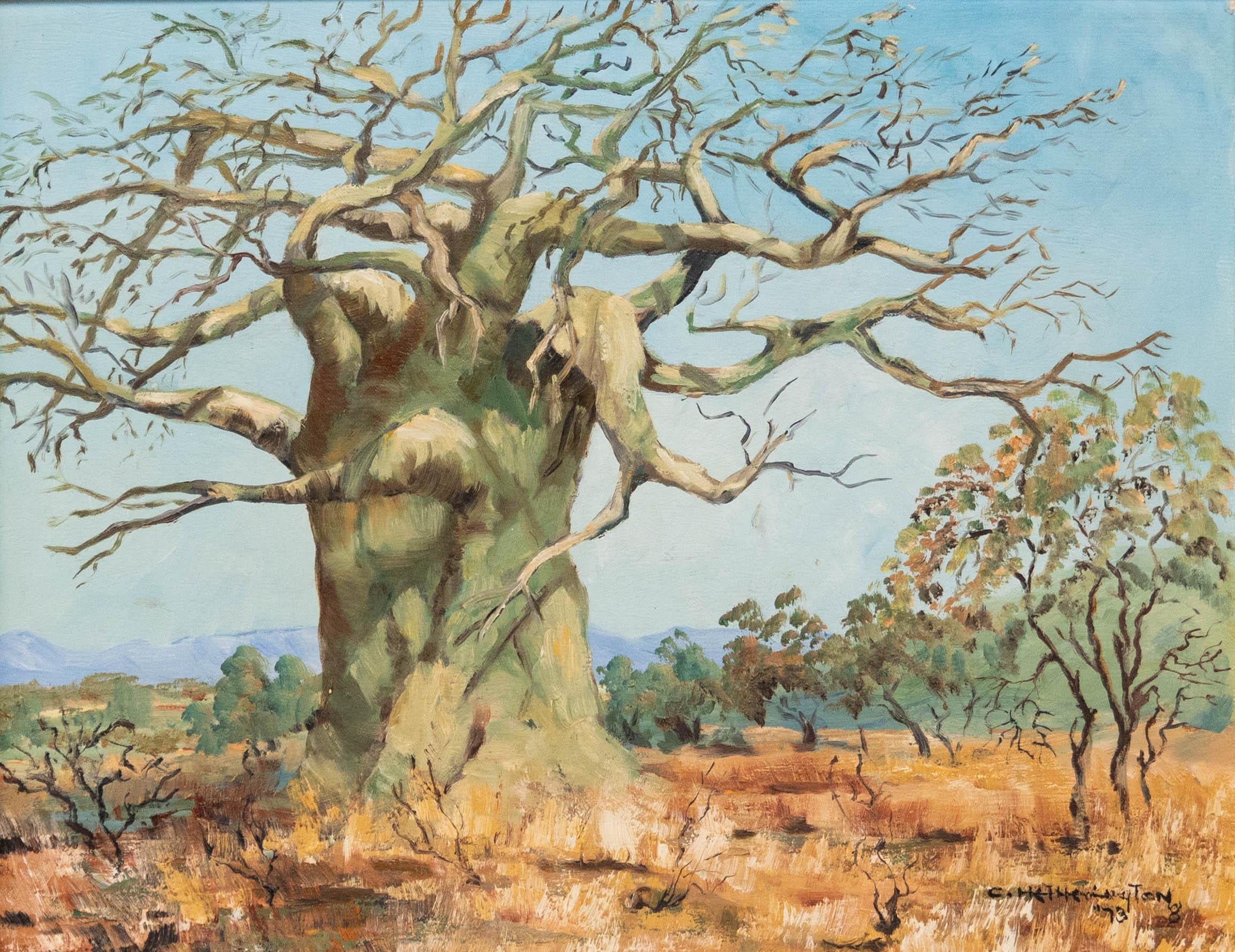 Huile, arbre de Baobab, Hetherington, 1973 - Painting de Unknown