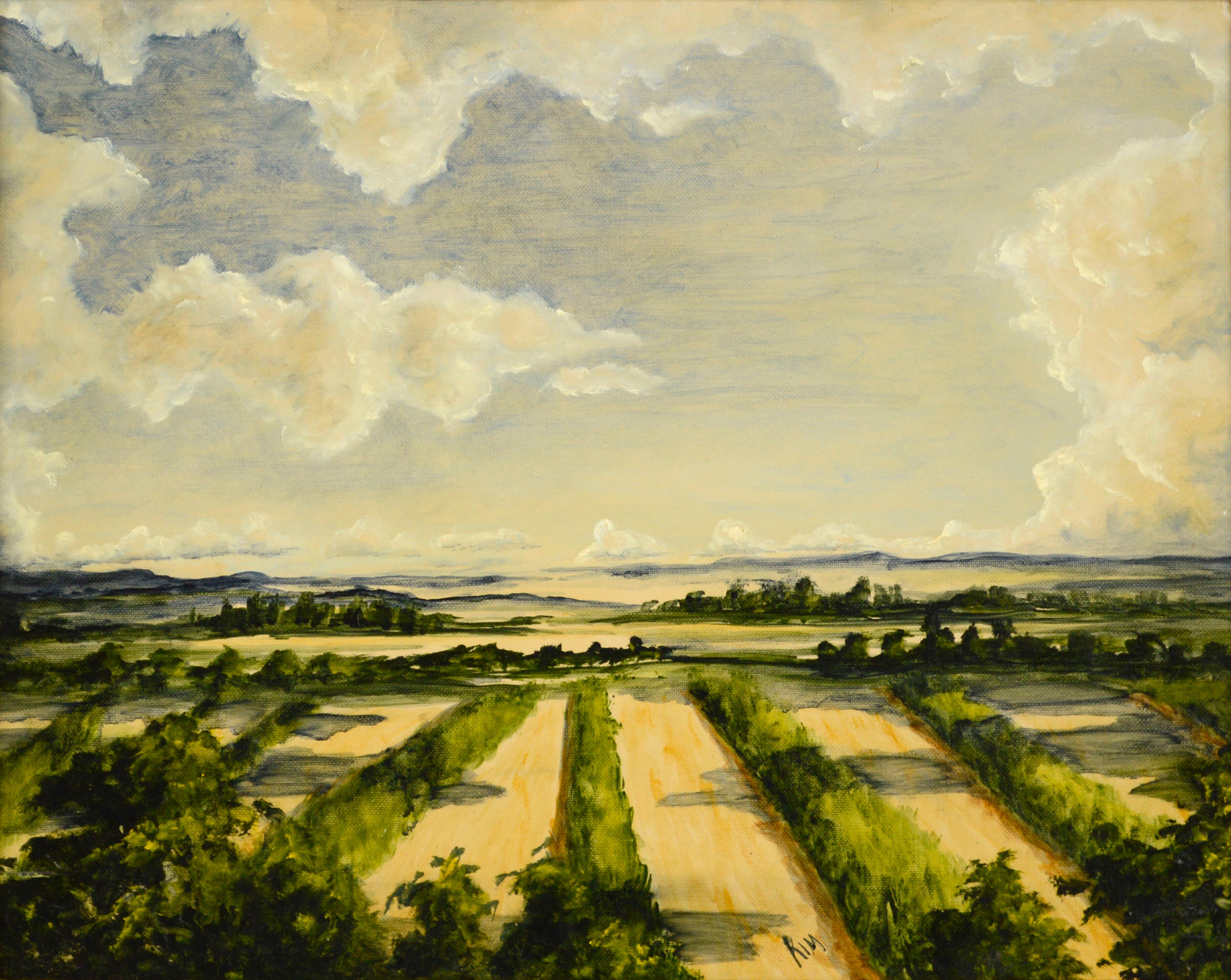 California Farmland Landscape by Kim  - Painting by Unknown