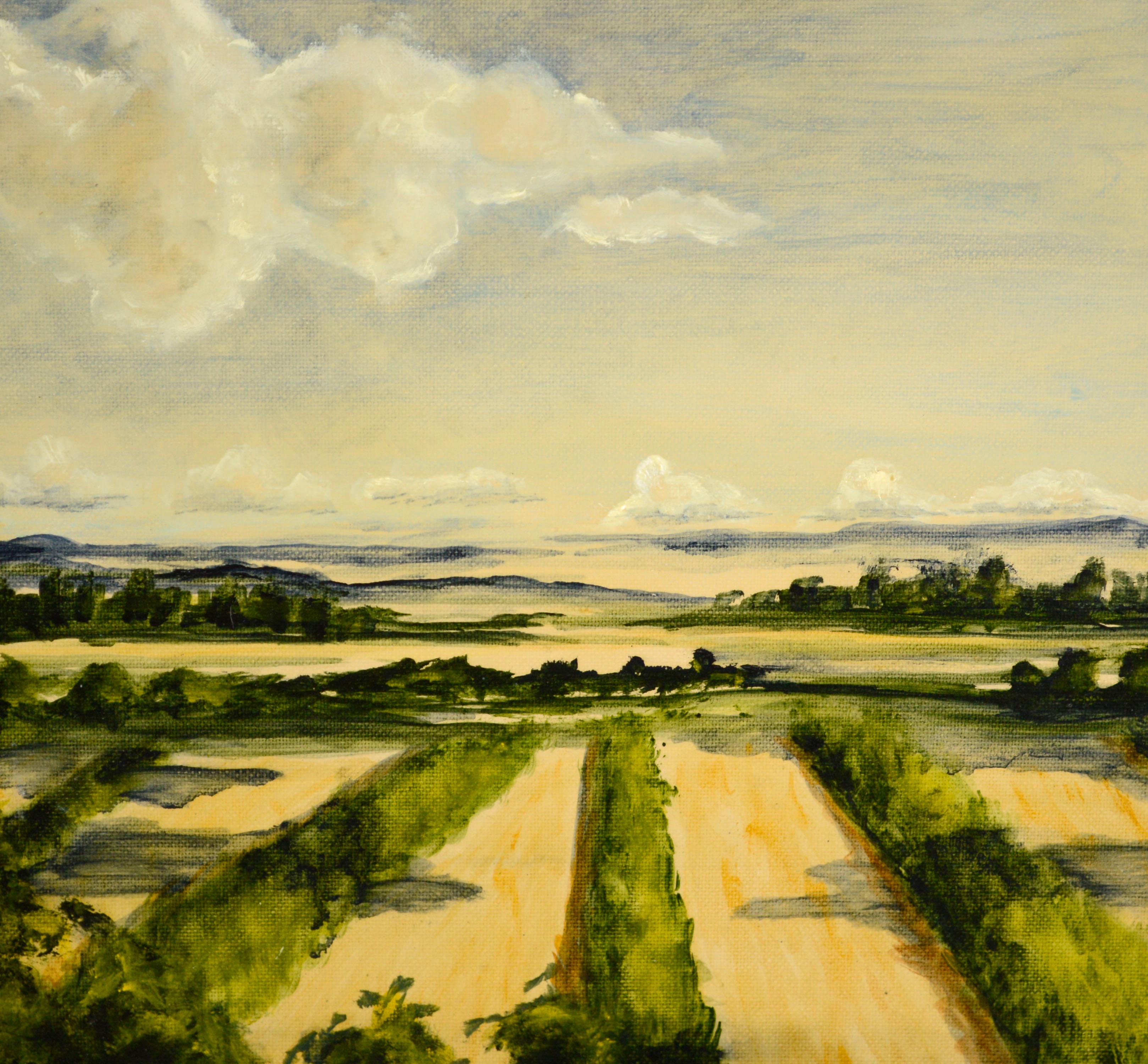 California Farmland Landscape by Kim  - American Impressionist Painting by Unknown