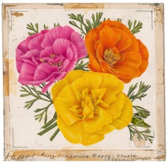 California Poppies Watercolor