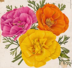 California Poppies Watercolor