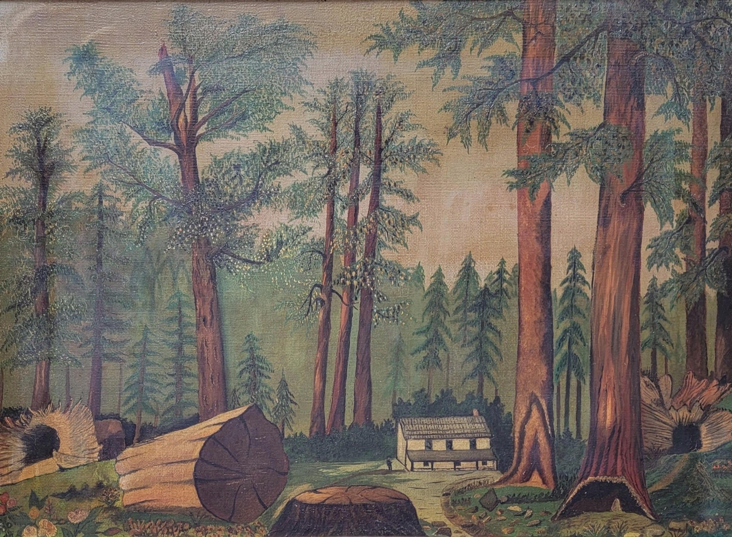 Alberi di sequoia della California anni '70, Sequoia gigante, Olio su tela, Naïf, Arte popolare - Painting di Unknown