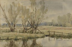 Paesaggi di laghetti umidi della California (fronte/retro)