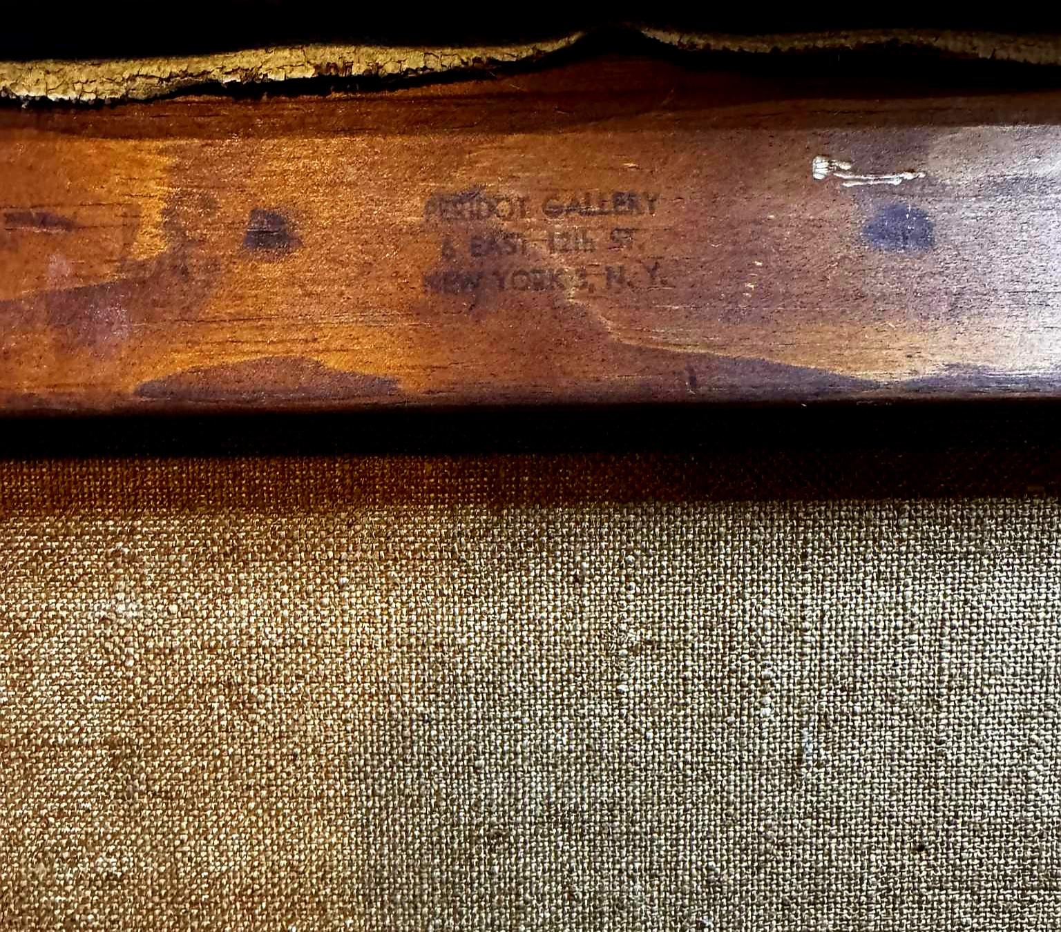 Calla Lillies For Sale 5