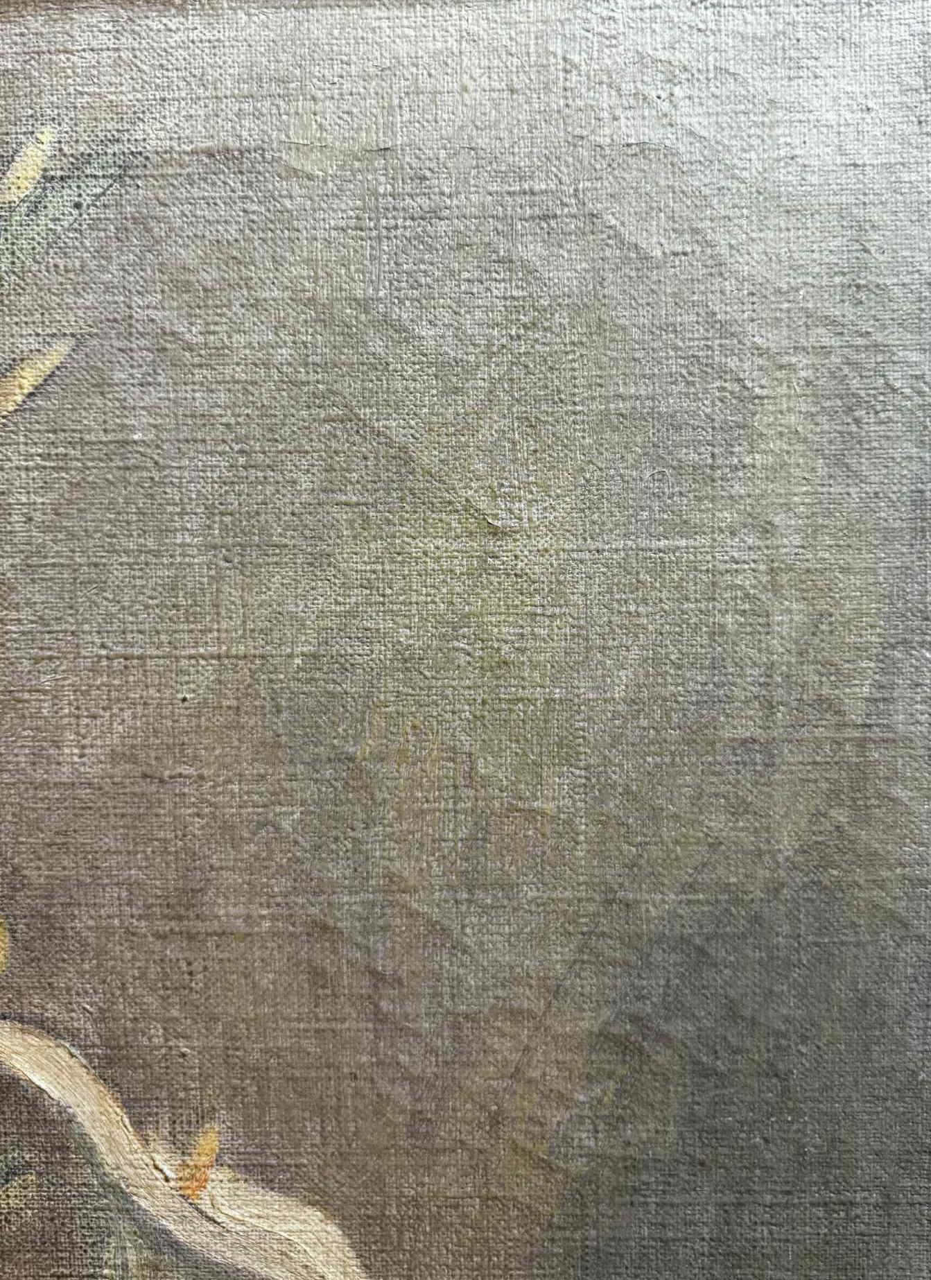 Calla Lillies For Sale 3