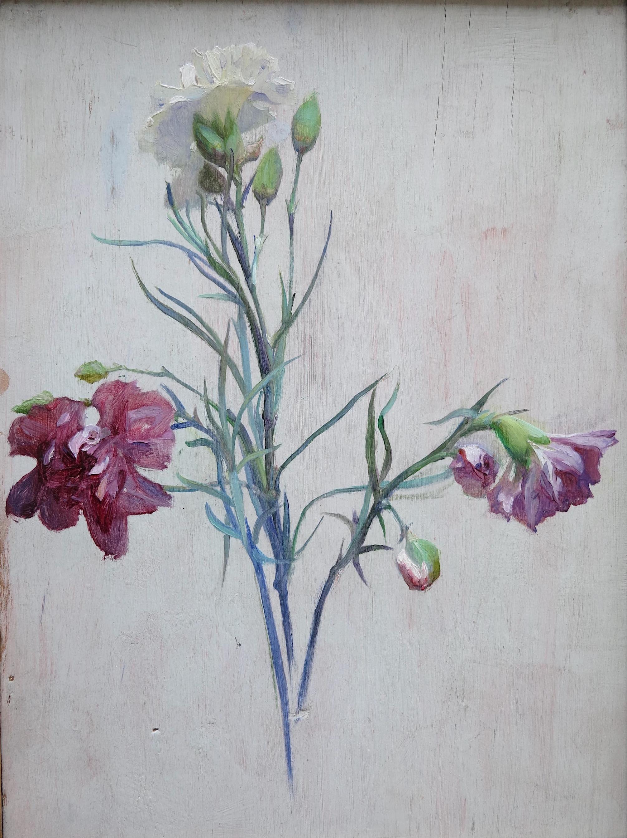 Carnations - Painting by Unknown