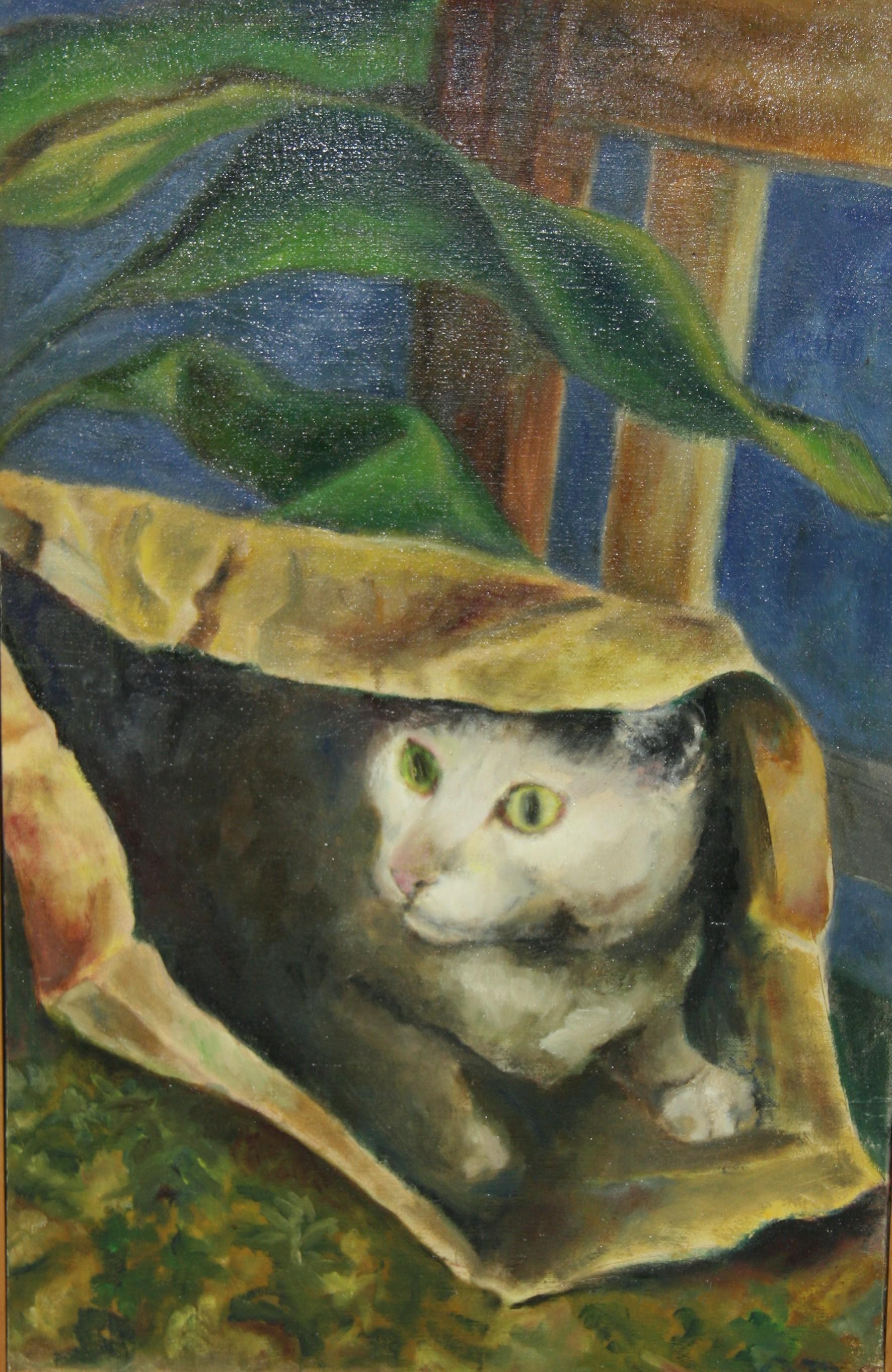 5117 Olio su tela d'epoca raffigurante un gatto alla finestra