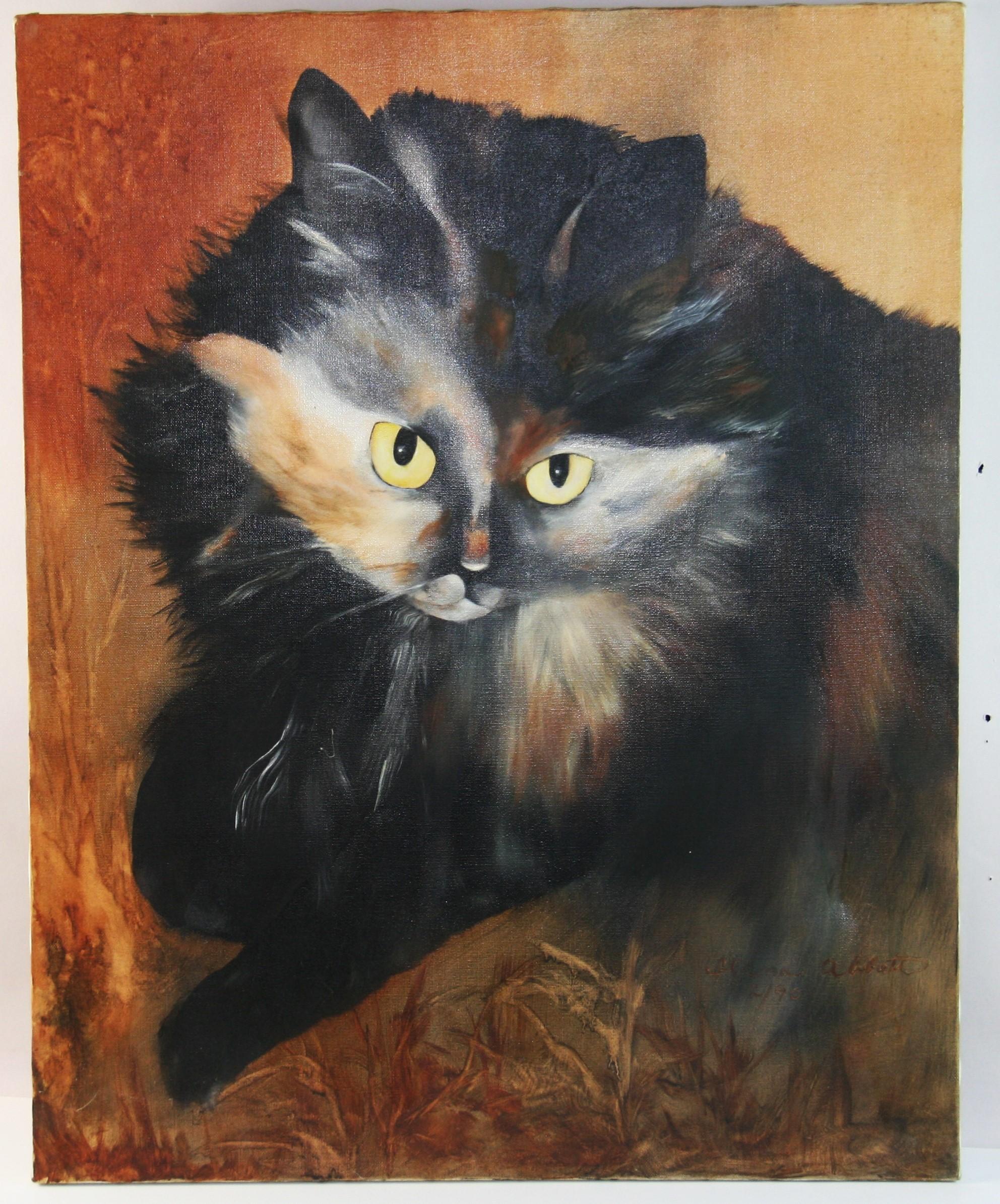Occhi di gatto - Painting di Unknown