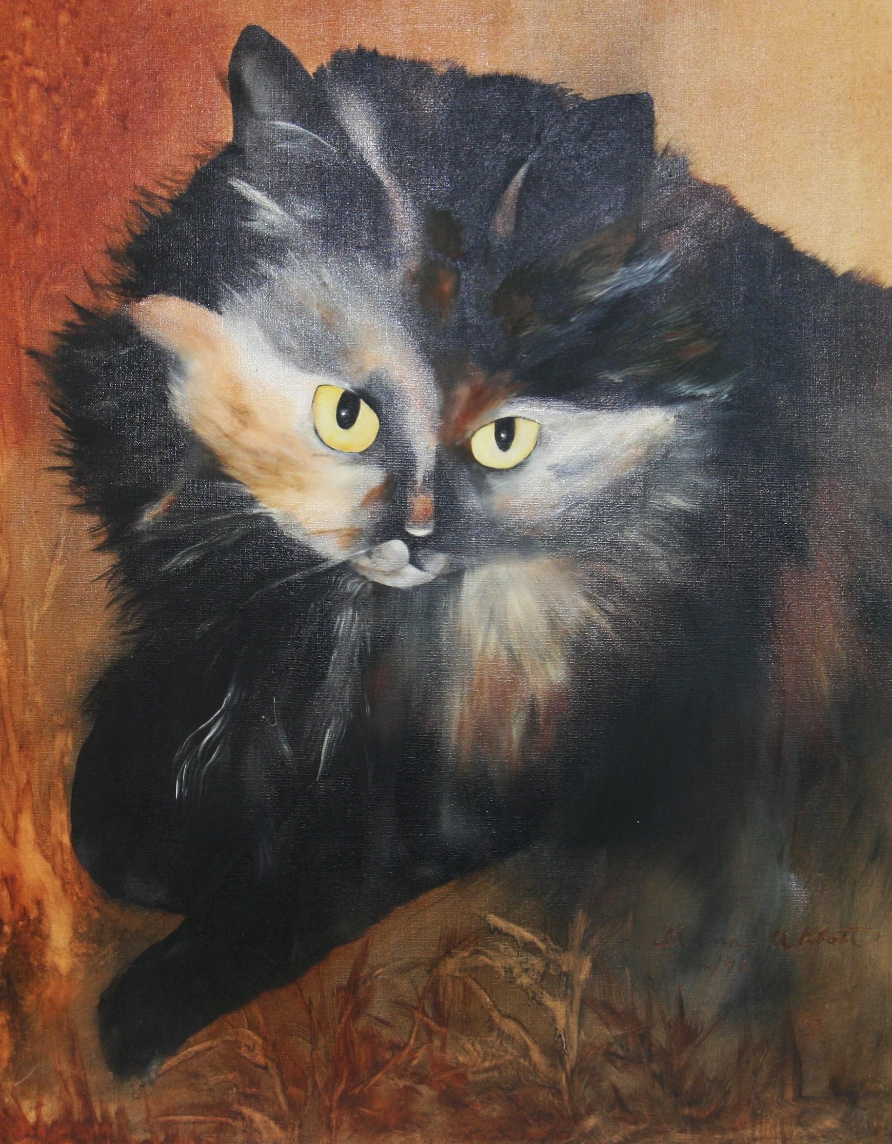 Occhi di gatto - Animal Painting Nero di Unknown
