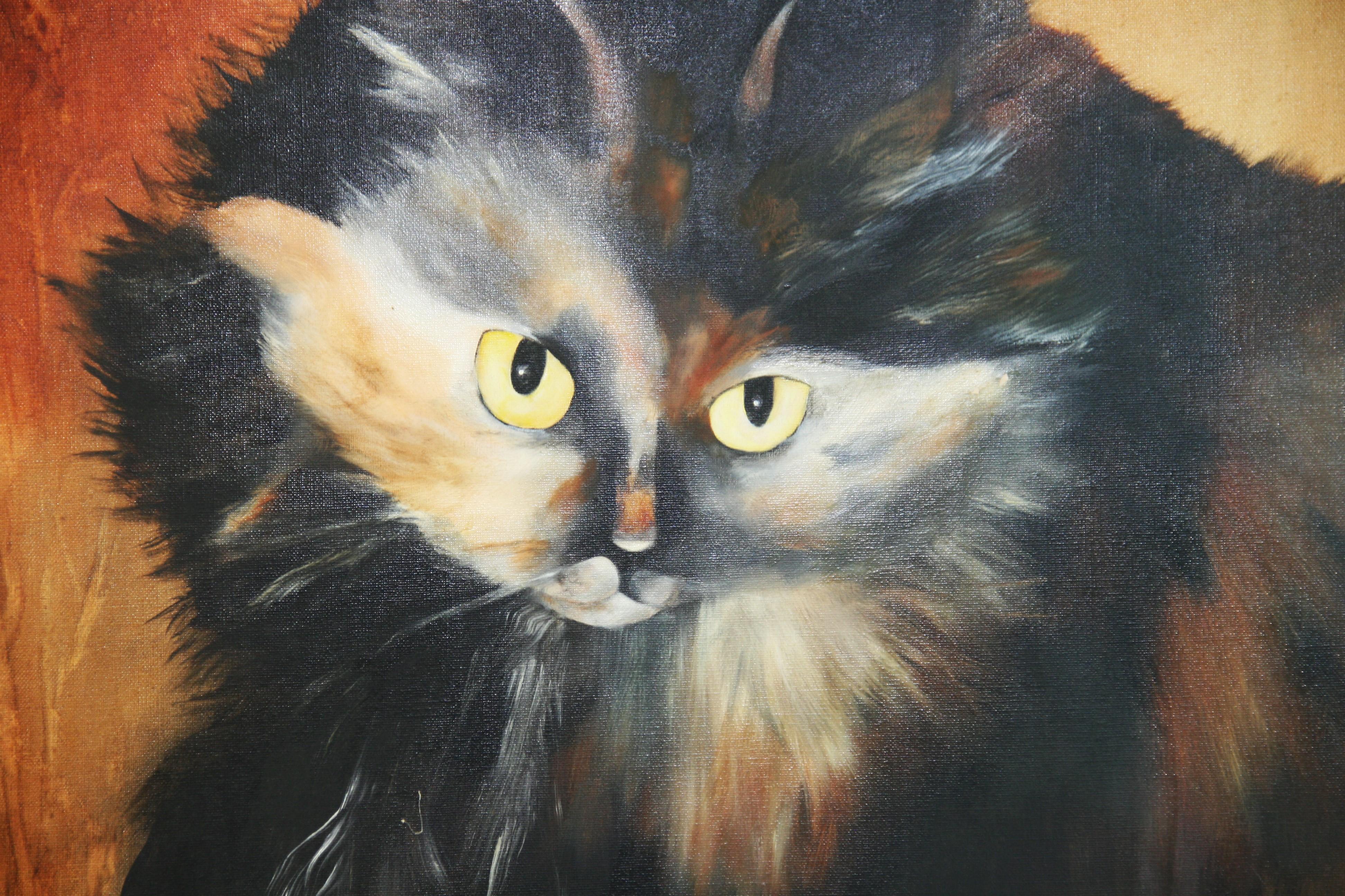 5137 Quadro in scala grande raffigurante un gatto con occhi penetranti