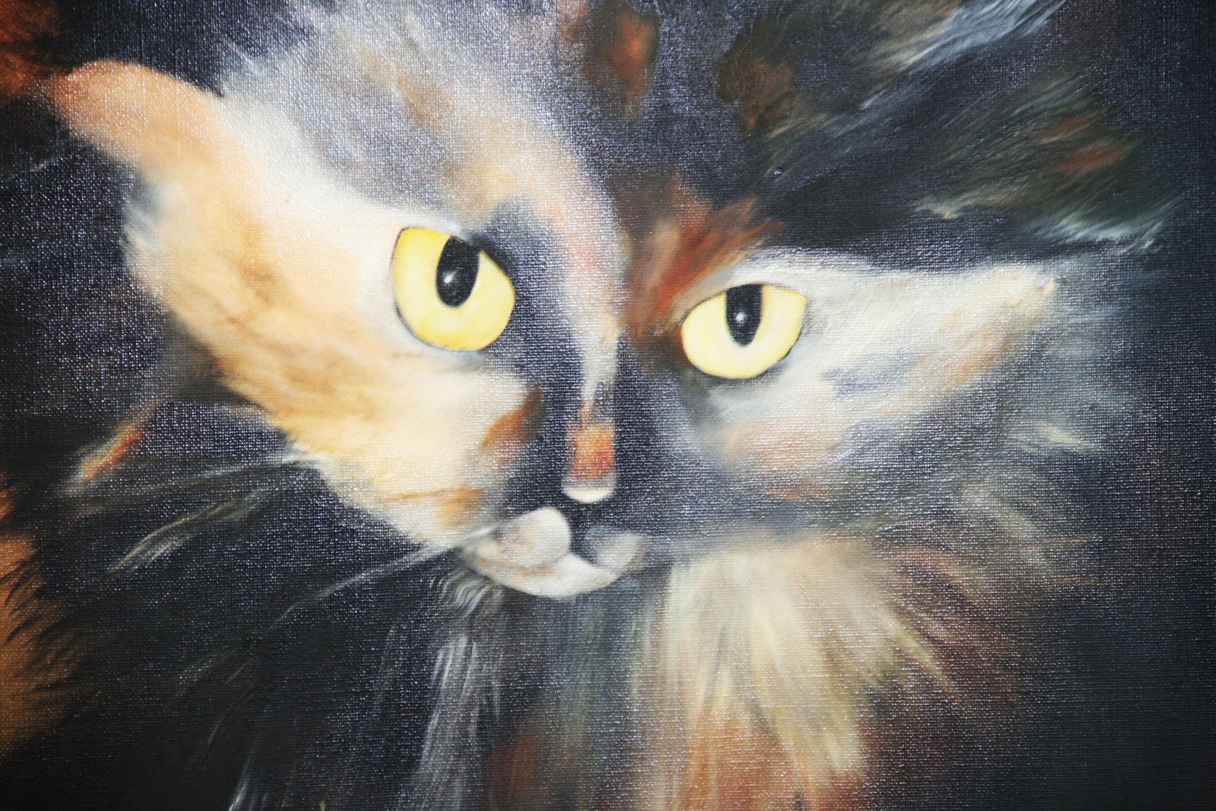 Occhi di gatto 1