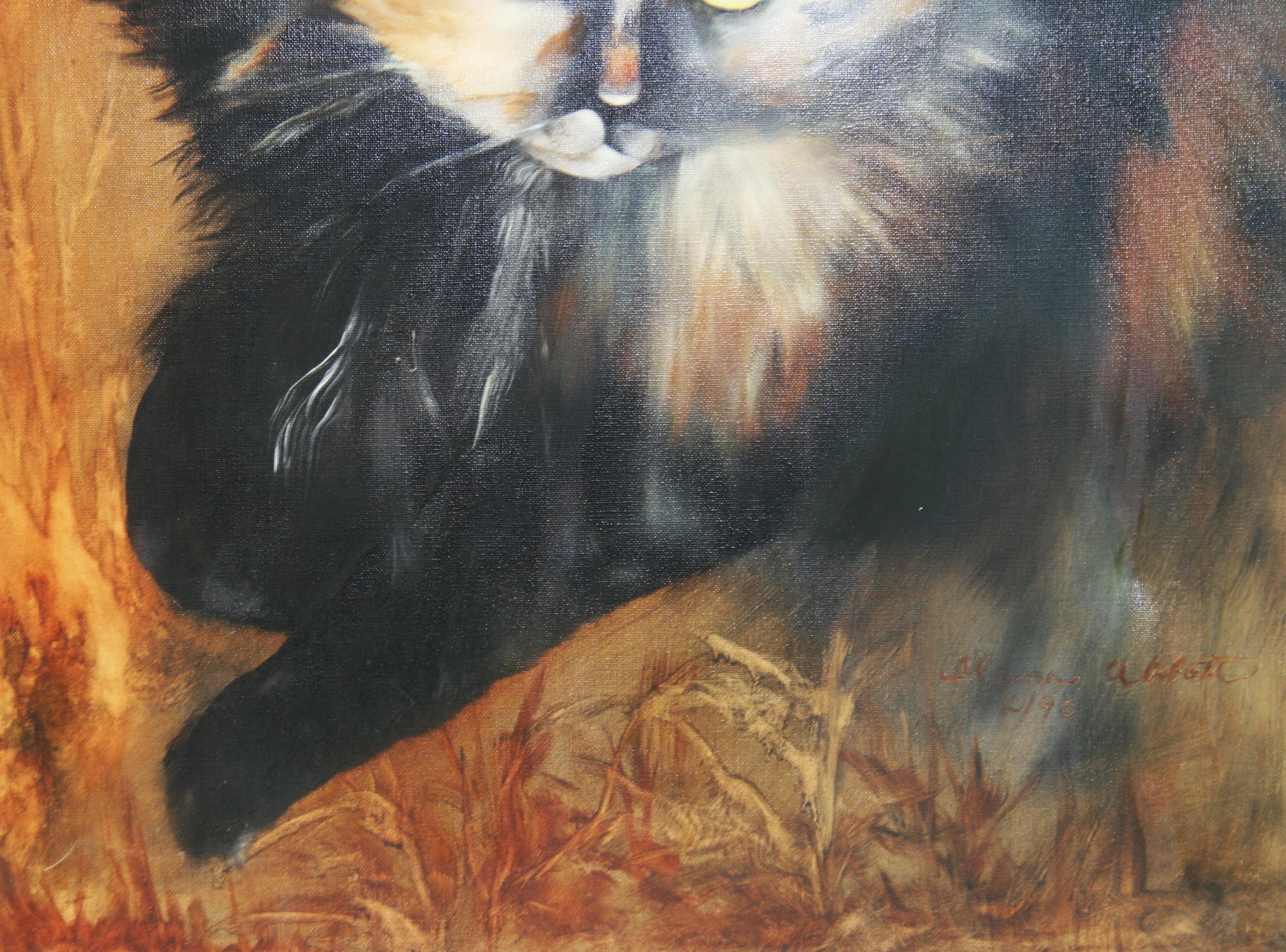 Occhi di gatto 2