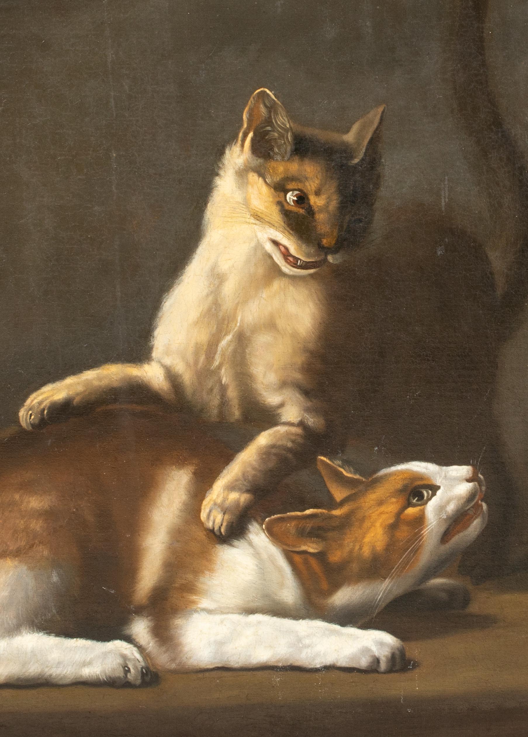 Cats Fighting, 17th Century  attributed to David DE CONINCK (1642-1700) For Sale 6