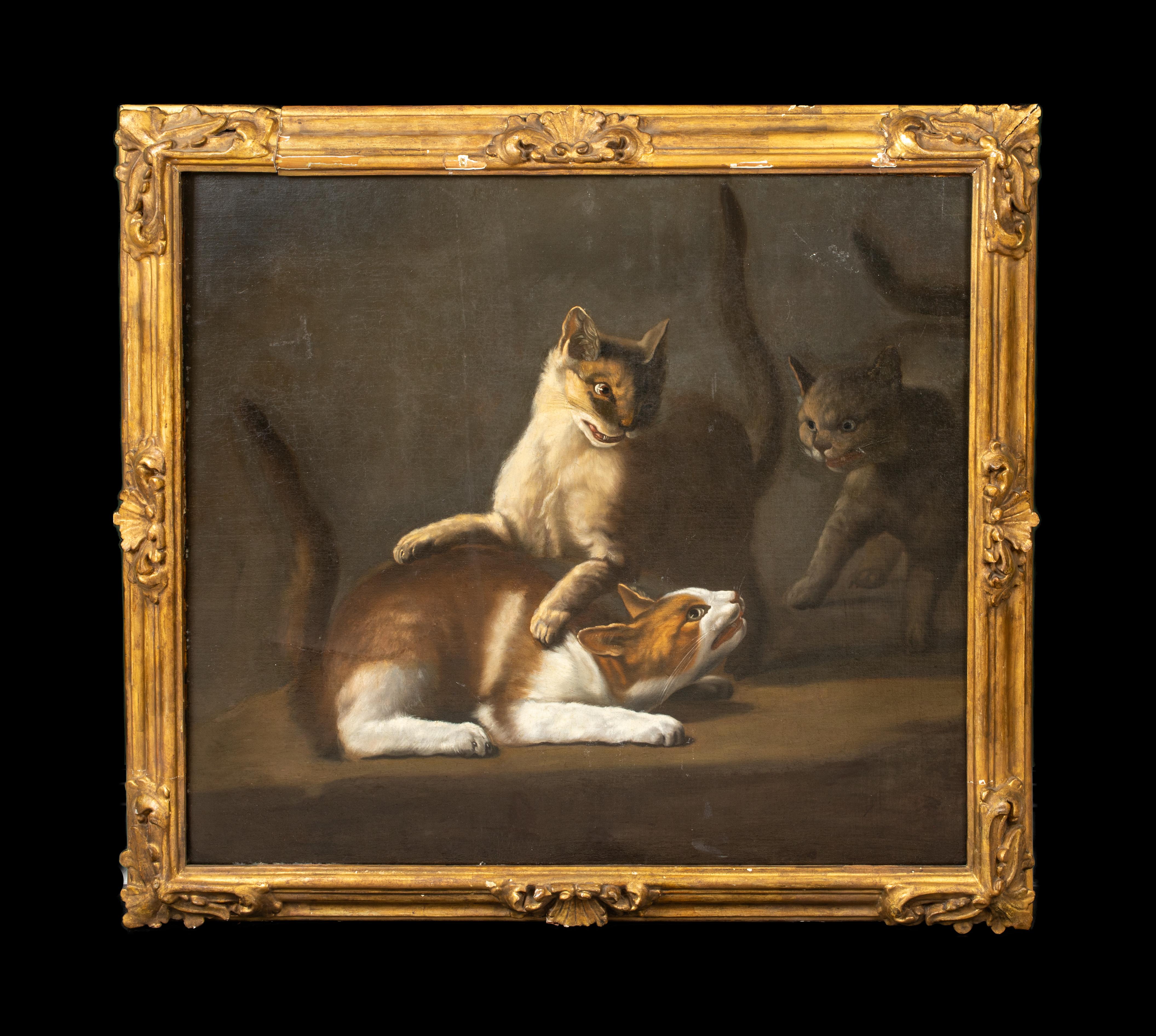 Cats Fighting, 17th Century  attributed to David DE CONINCK (1642-1700) - Painting by Unknown