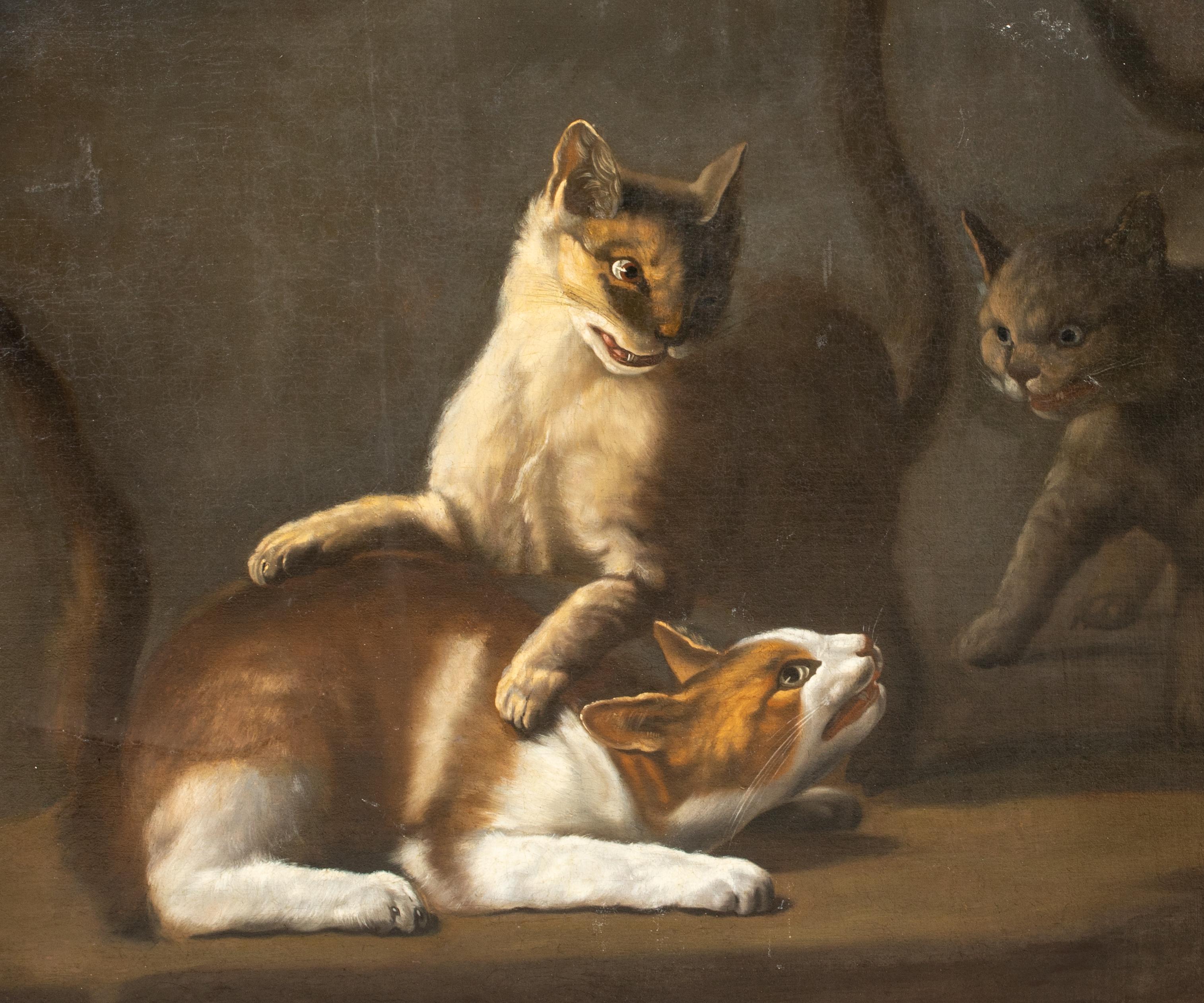 Cats Fighting, 17th Century  attributed to David DE CONINCK (1642-1700) For Sale 1