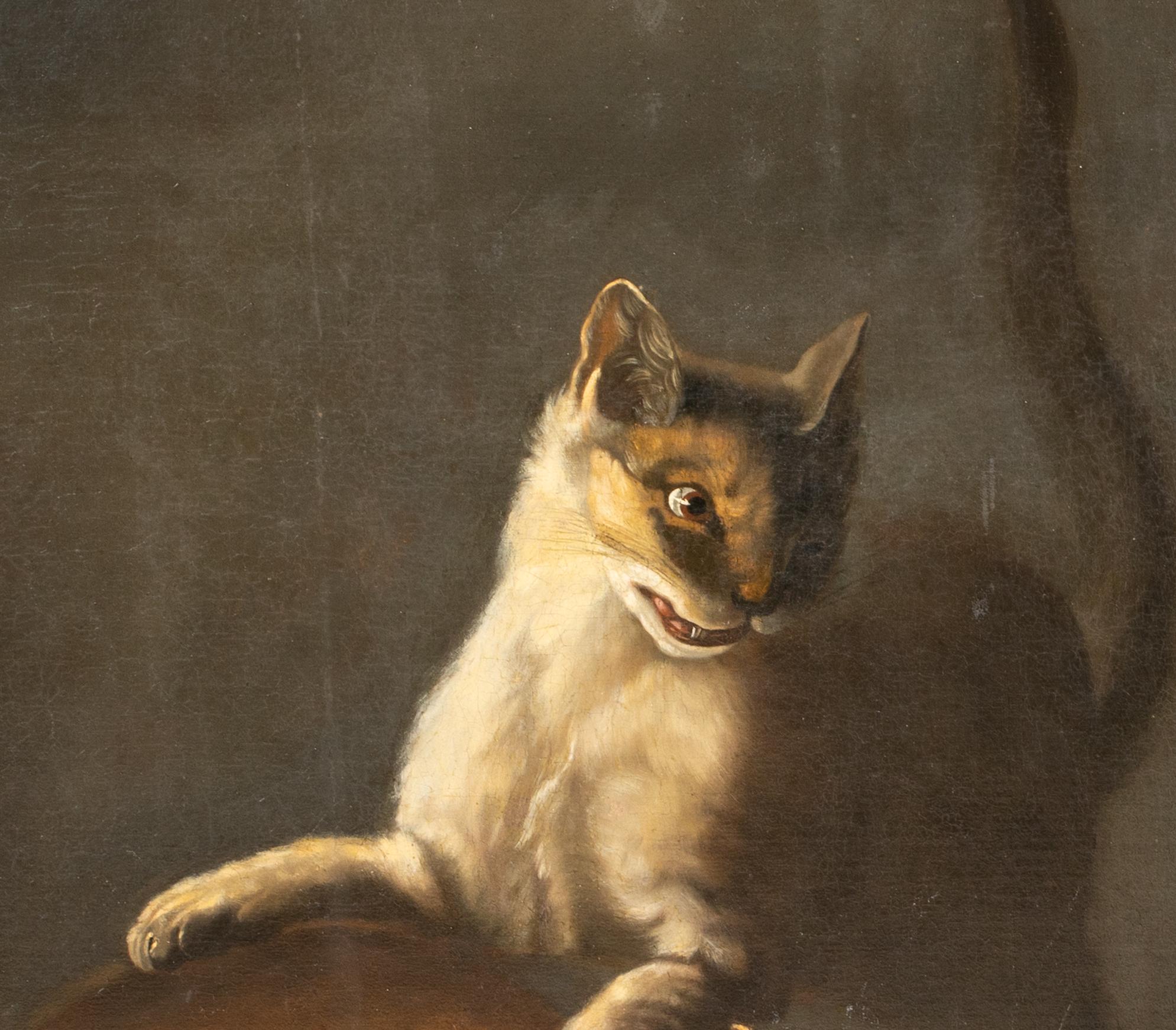 Cats Fighting, 17th Century  attributed to David DE CONINCK (1642-1700) For Sale 3
