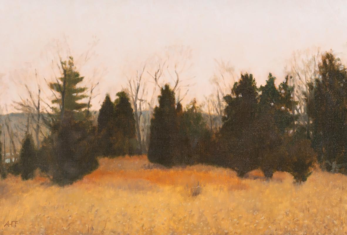 Cedars, Greenport (Contemporary Winter Landscape Painting, Framed) painted by Tony Thompson in 2002
16 x 24 inches, 20.75 x 28.5 inches framed
oil on canvas
Wired on Reverse for easy installation
Artist signature on lower left corner

Tony
