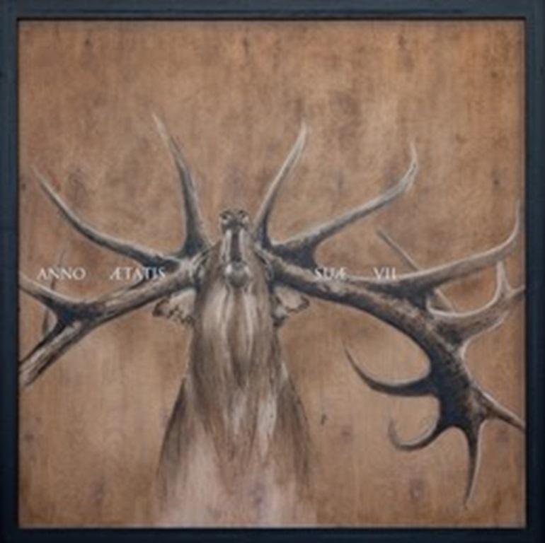 Cervus elaphus scoticus (Cervo rosso), di Joseph Rossano, 2022