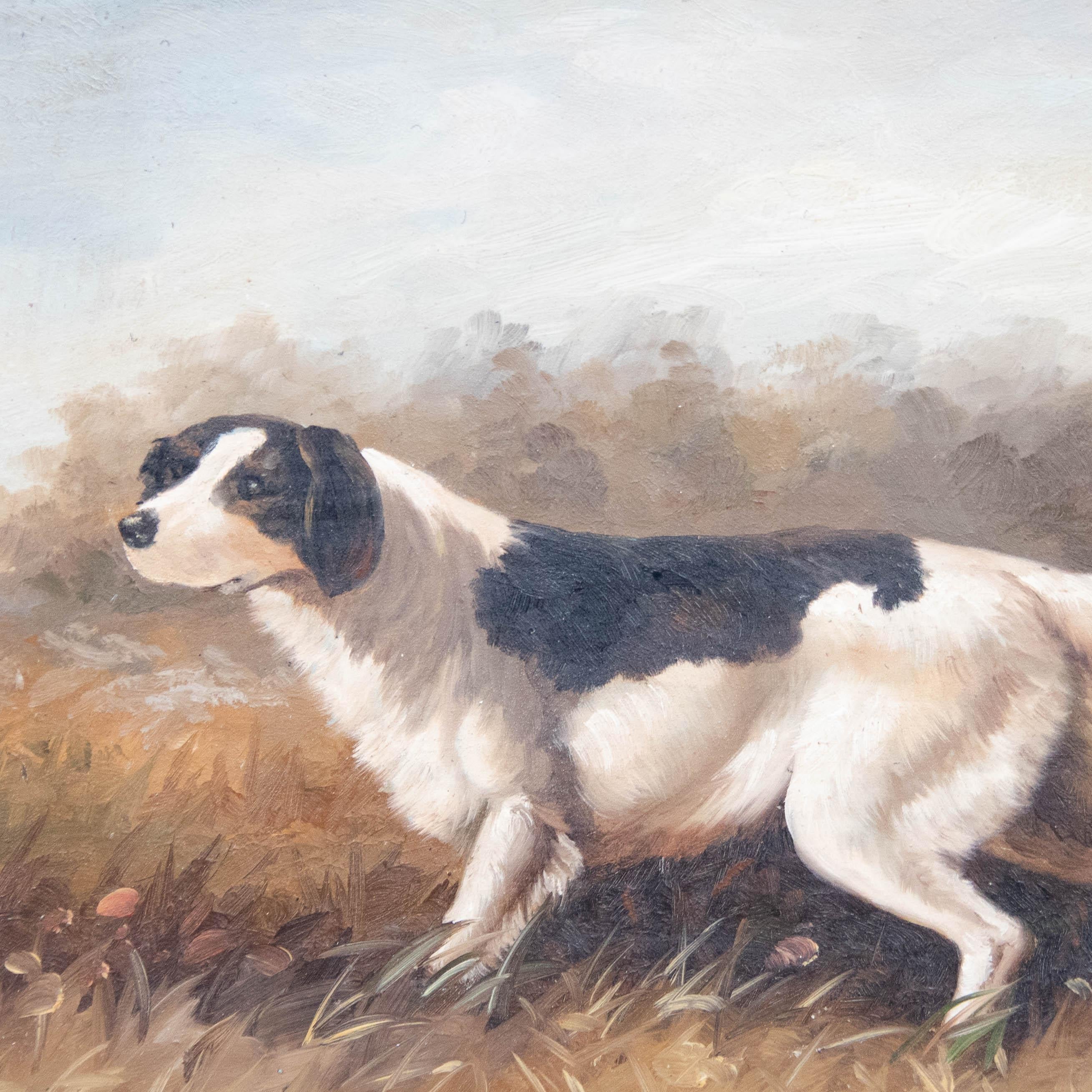 Charles Harrison - Framed 20th Century Oil, Gun Dog in a Landscape 1