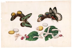 Chinese Butterflies and Silk Worms with Lychee Nuts