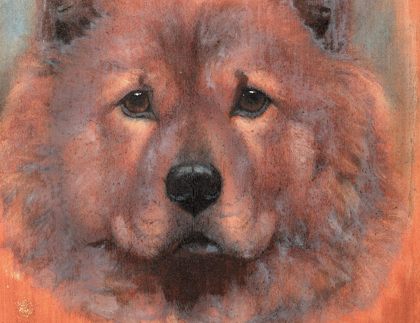 Chow Chow Dog Portrait 