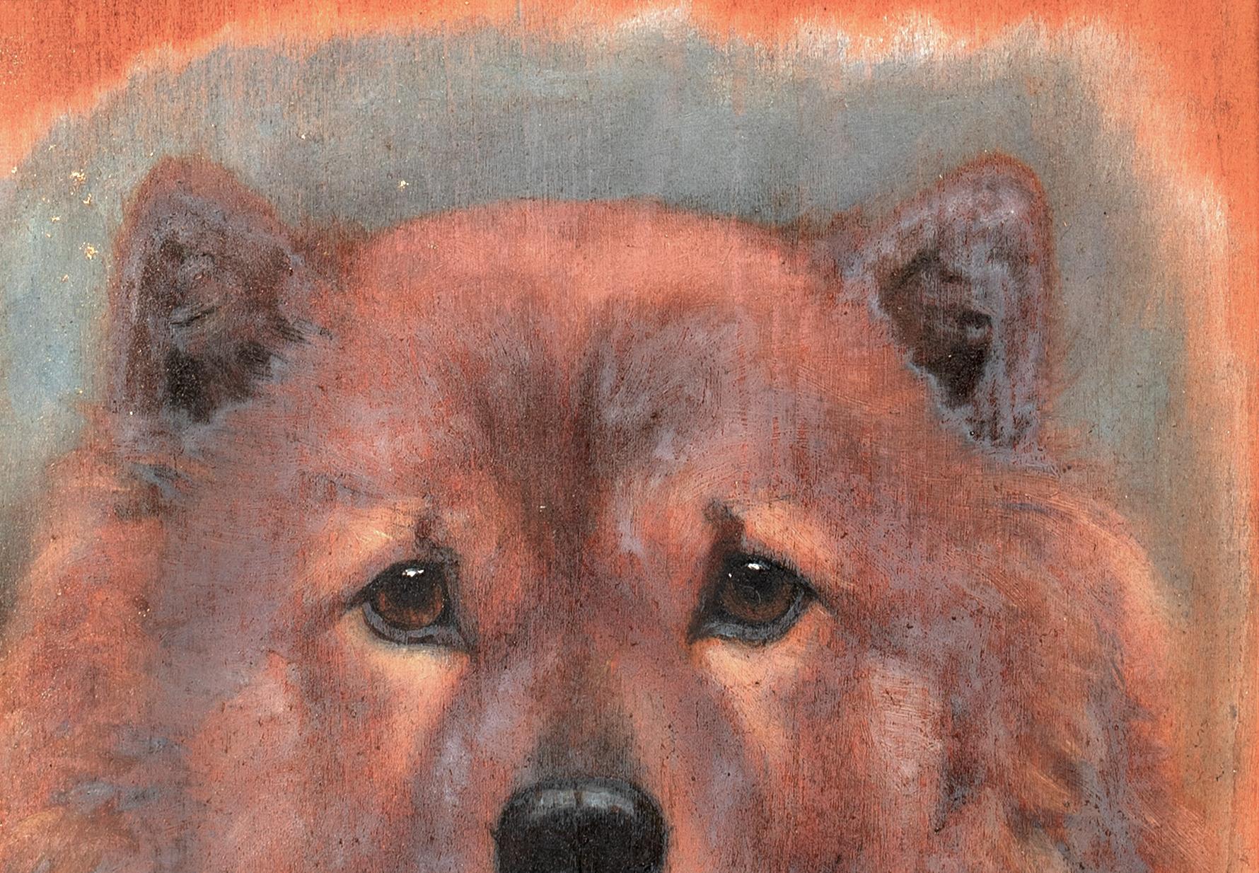 Chow Chow Dog Portrait 