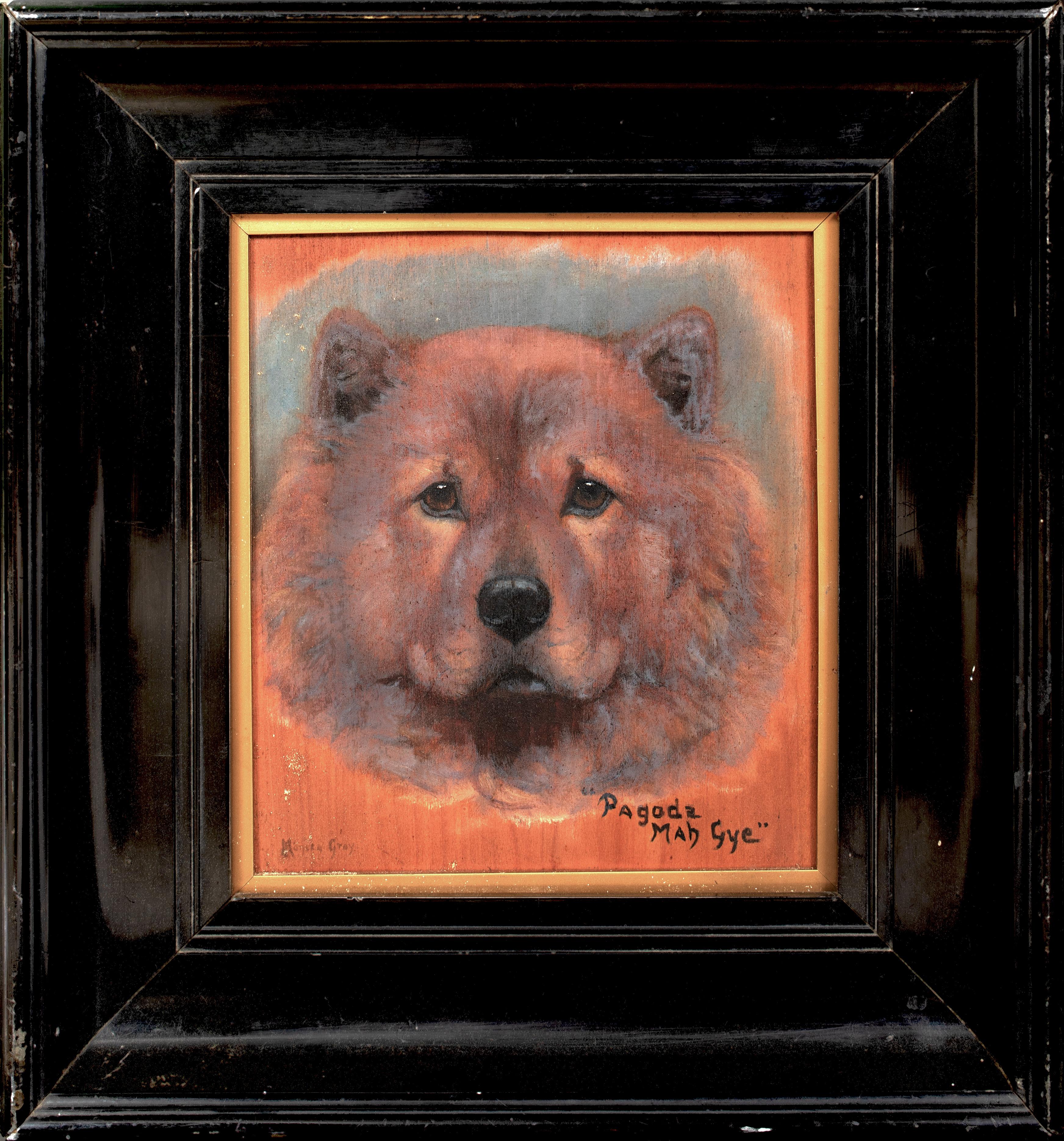 Unknown Animal Painting - Chow Chow Dog Portrait "Pagoda Mah Gye", circa 190  by MONICA GRAY (circa 1900)