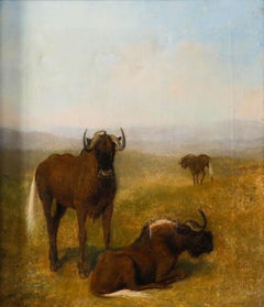 Circle of Samuel Daniell (1775-1811) - Oil, Wildebeest on Grassland