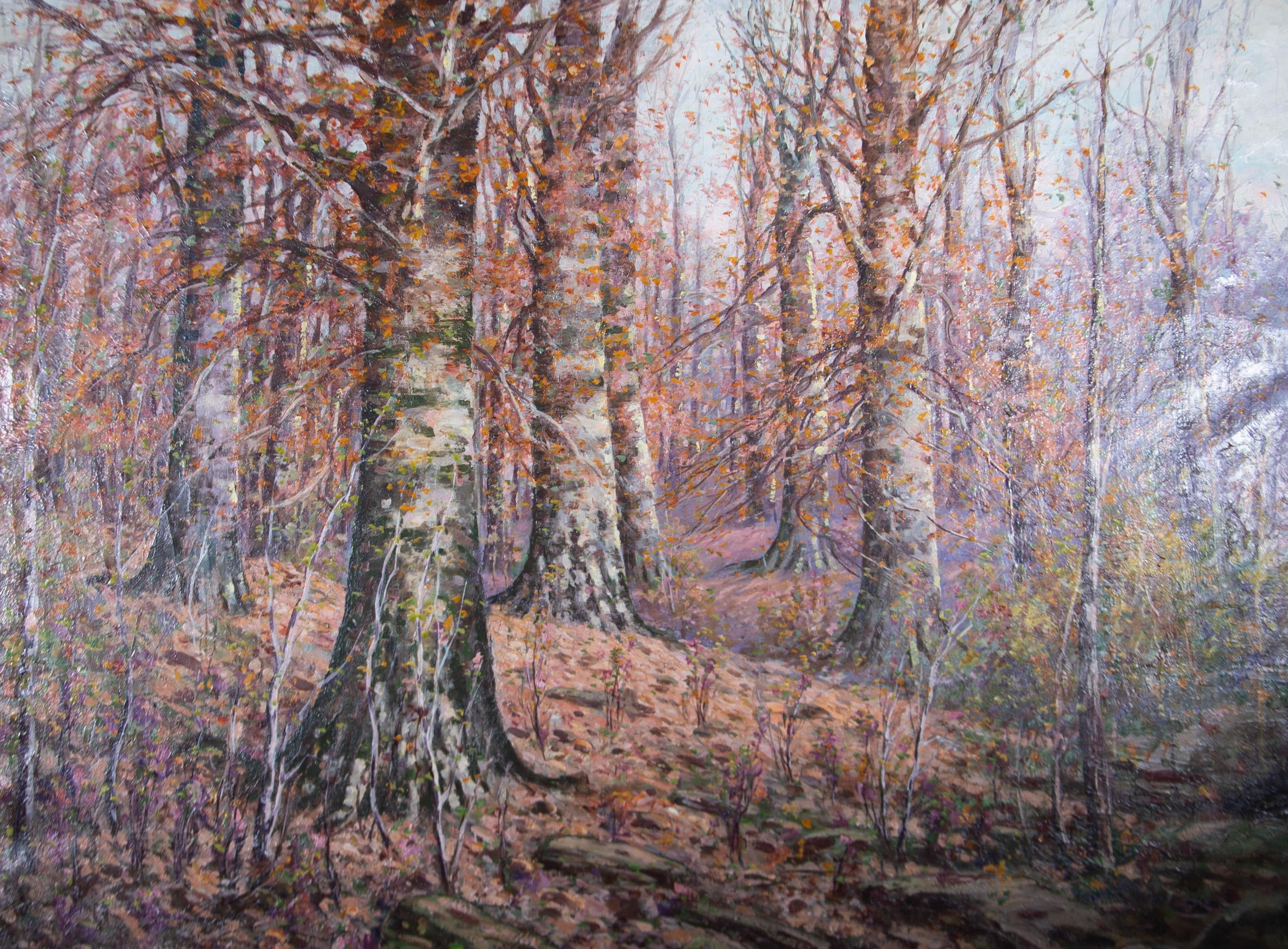 Contemporary Oil - Silver Birches In Autumn - Painting by Unknown