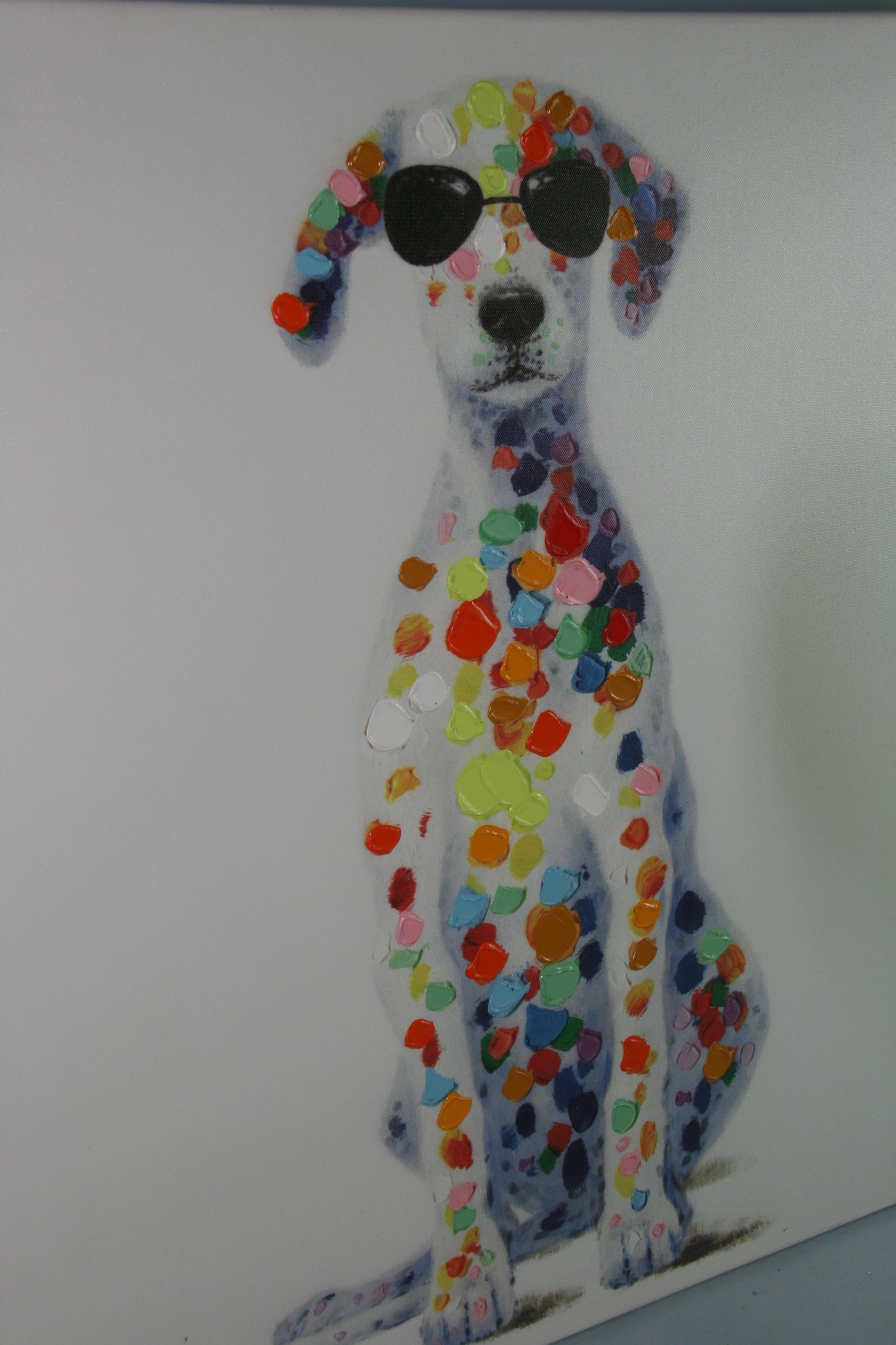 Cool Dog in vendita 1