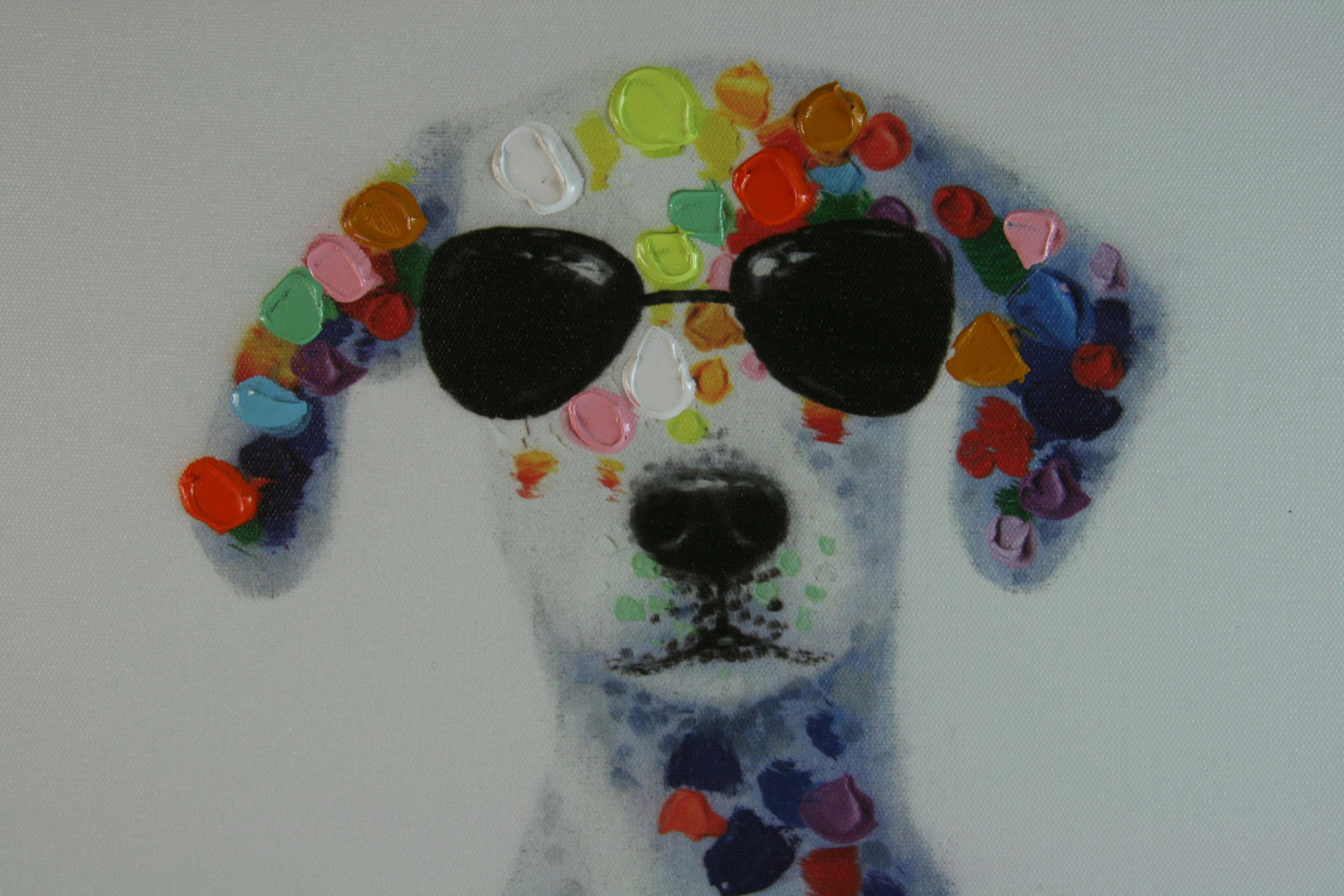 Cool Dog in vendita 2