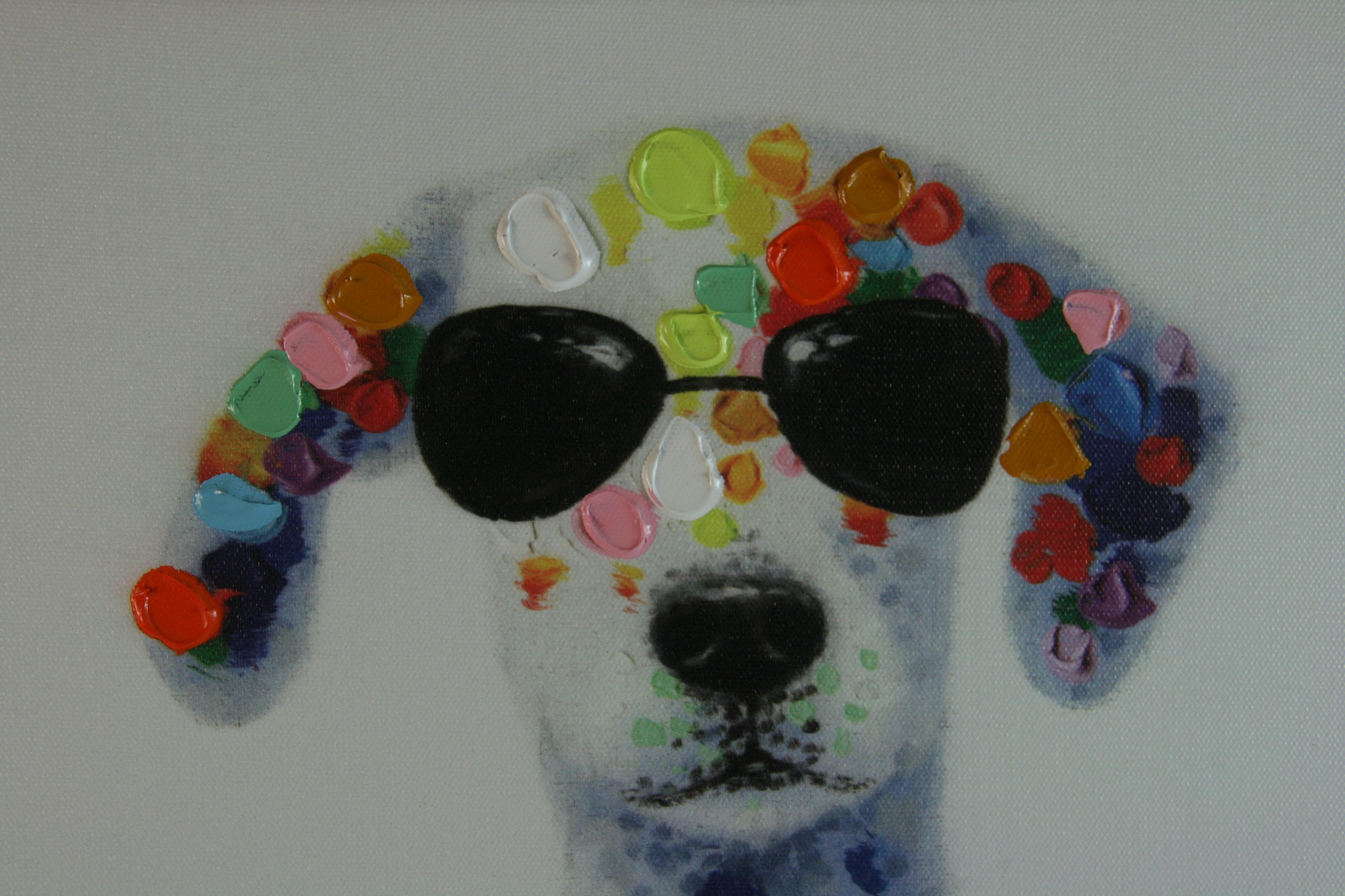 Cool Dog in vendita 5